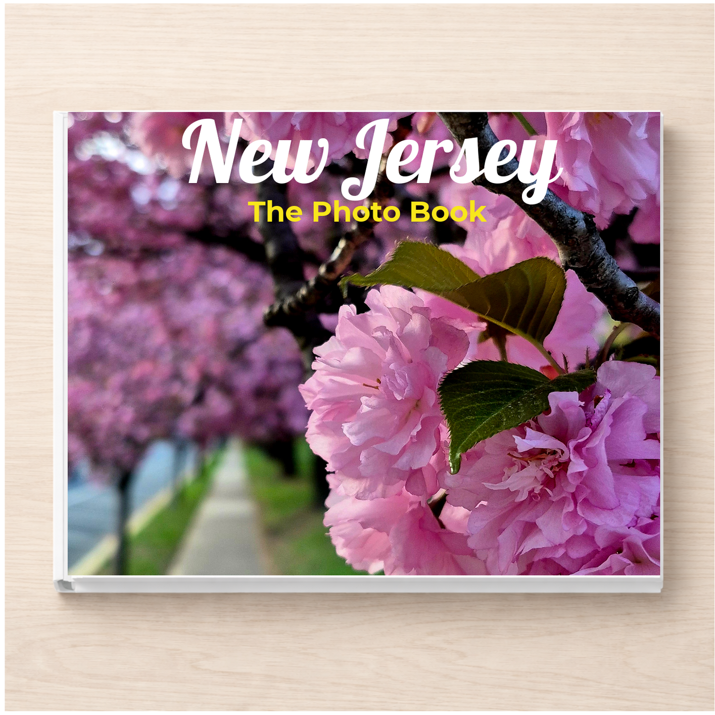 New Jersey: The Photo Book