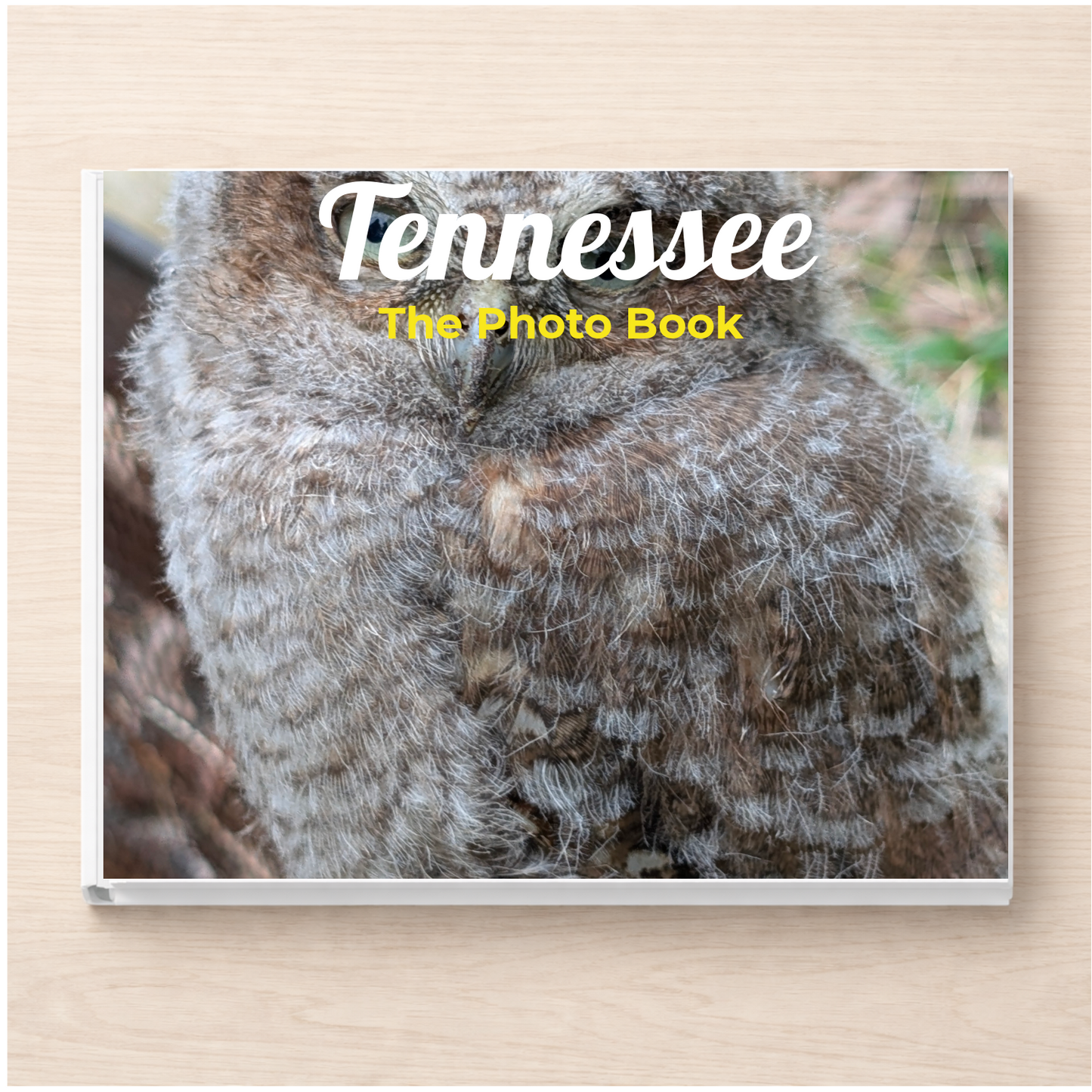 Tennessee: The Photo Book