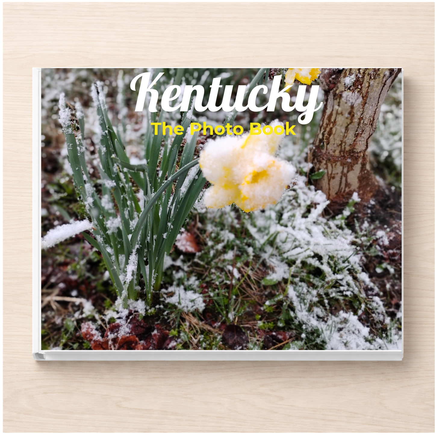 Kentucky: The Photo Book