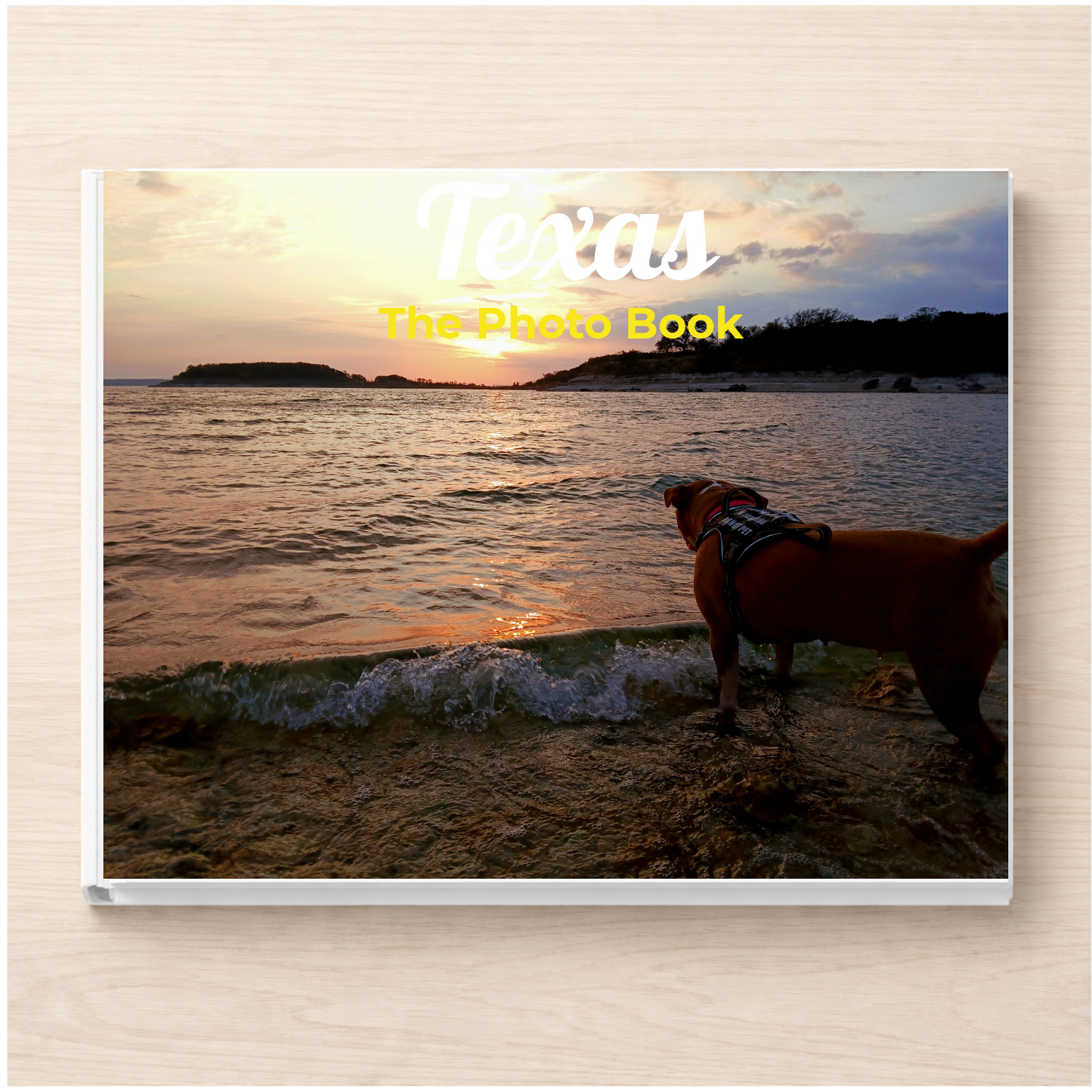 Texas: The Photo Book