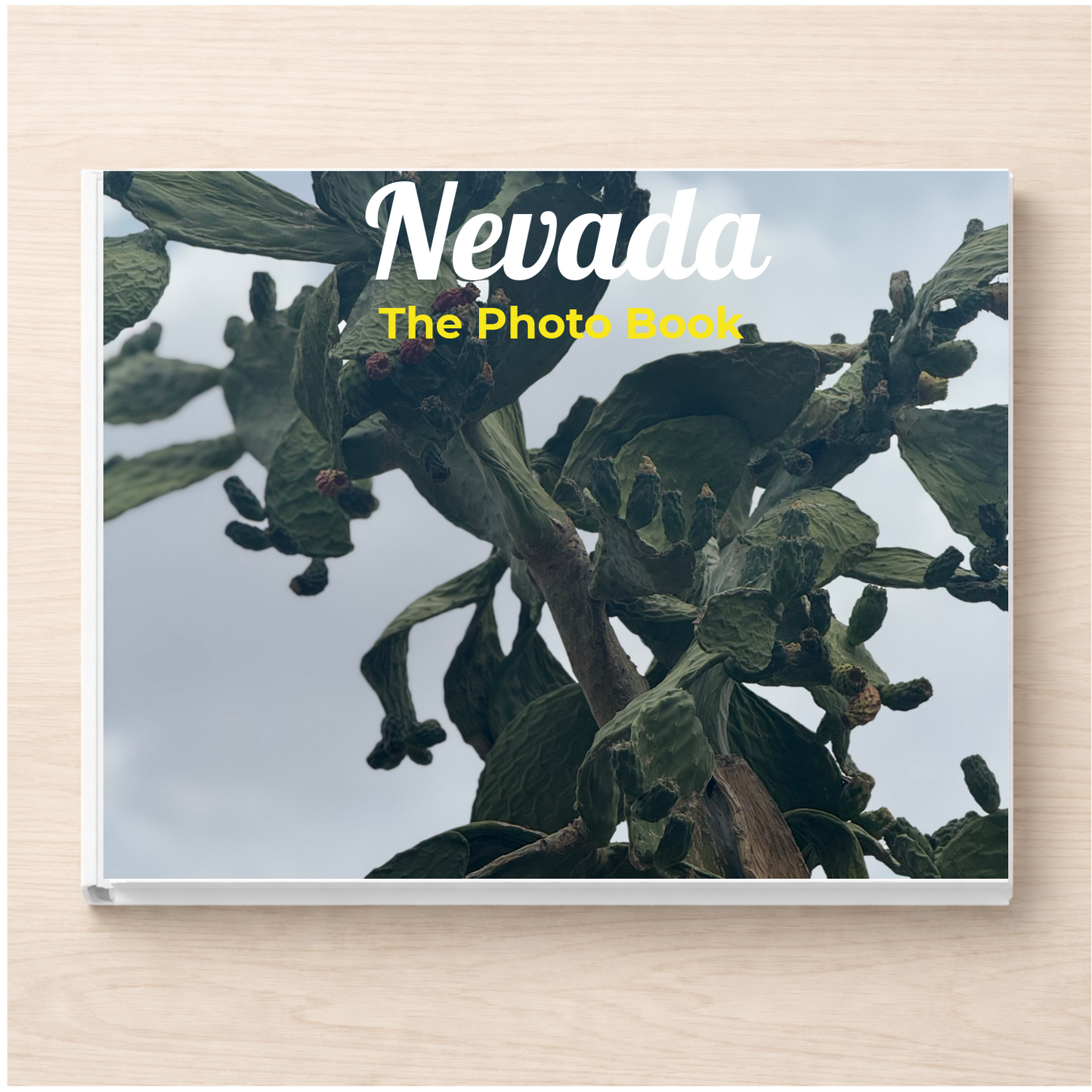 Nevada: The Photo Book