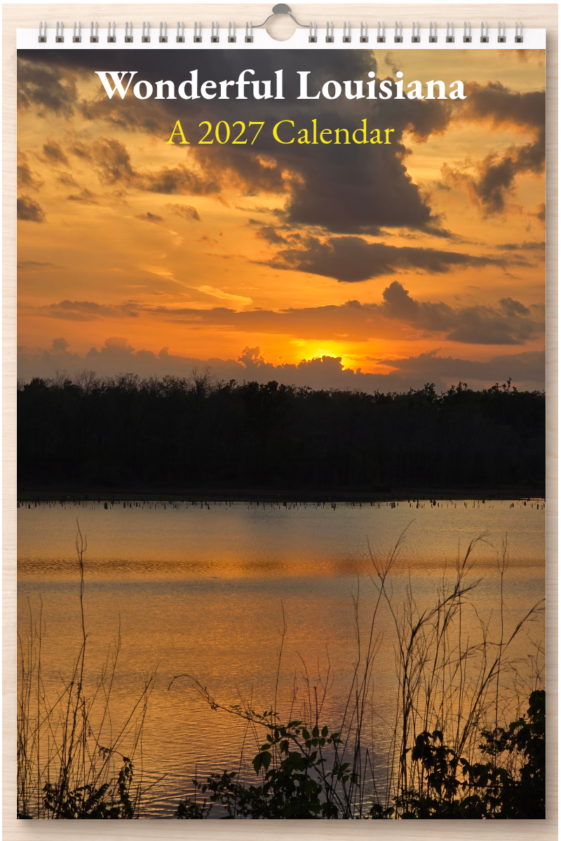 Wonderful Louisiana: A 2027 Calendar