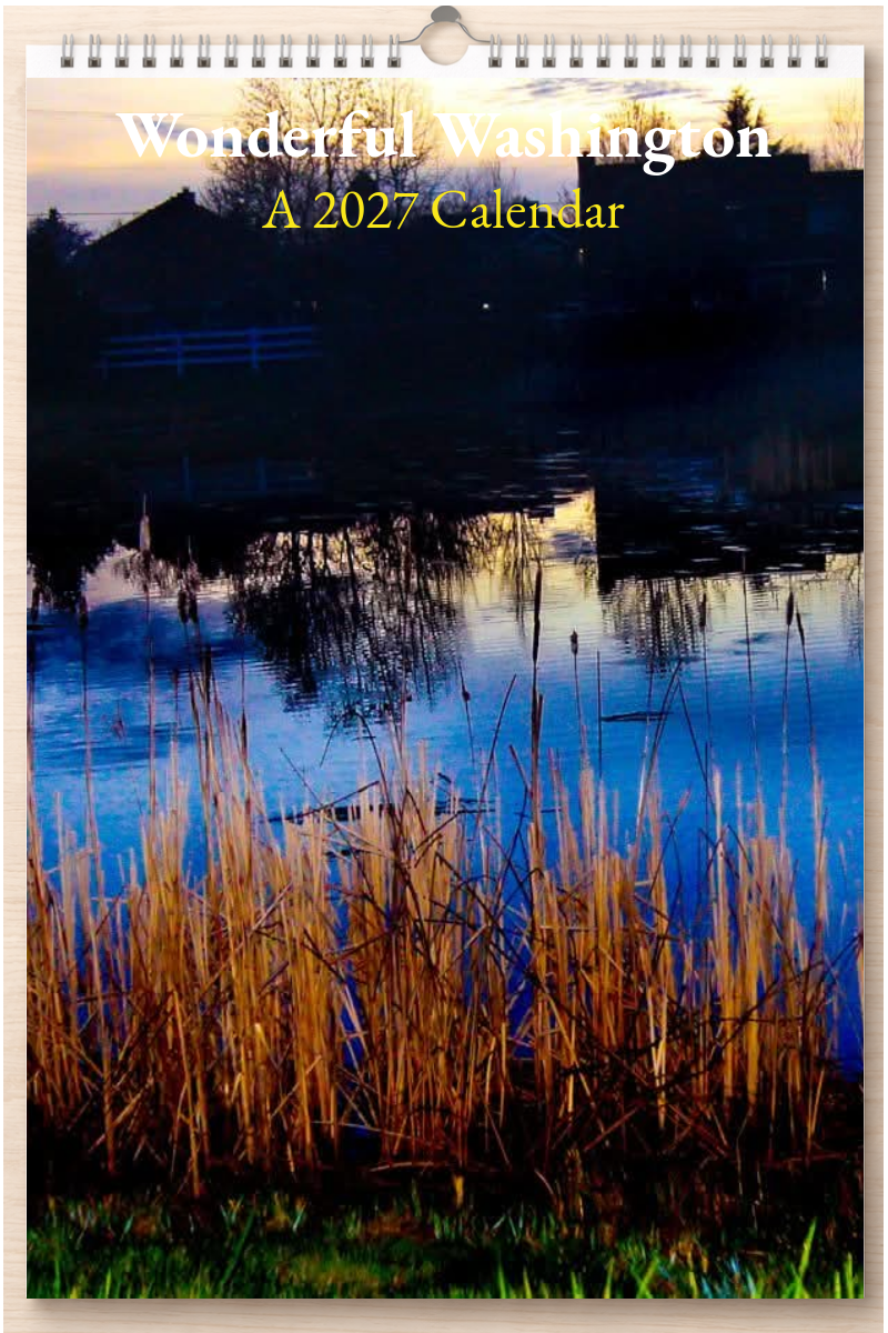 Wonderful Washington: A 2027 Calendar