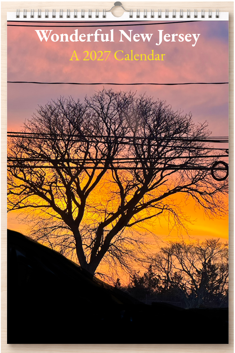 Wonderful New Jersey: A 2027 Calendar