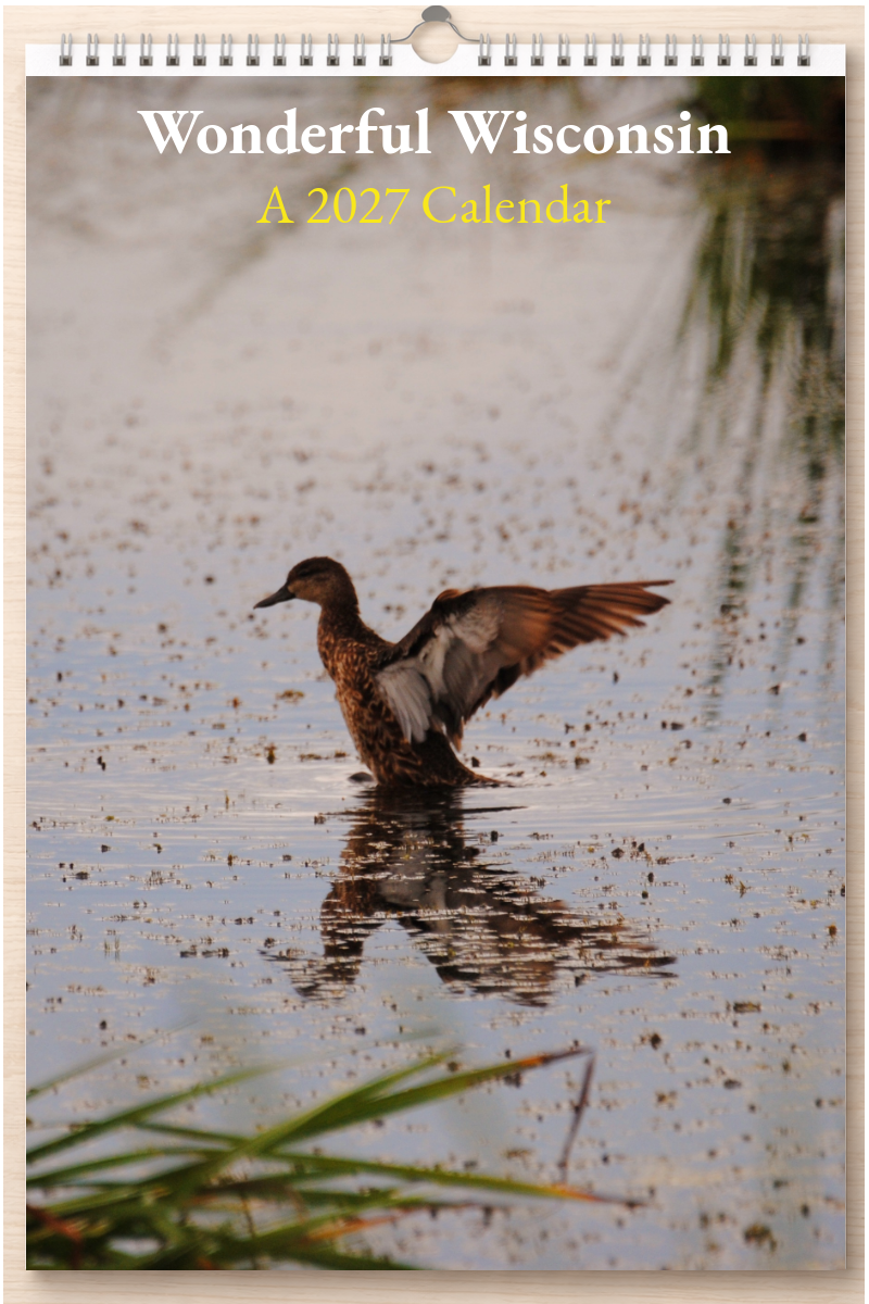 Wonderful Wisconsin: A 2027 Calendar