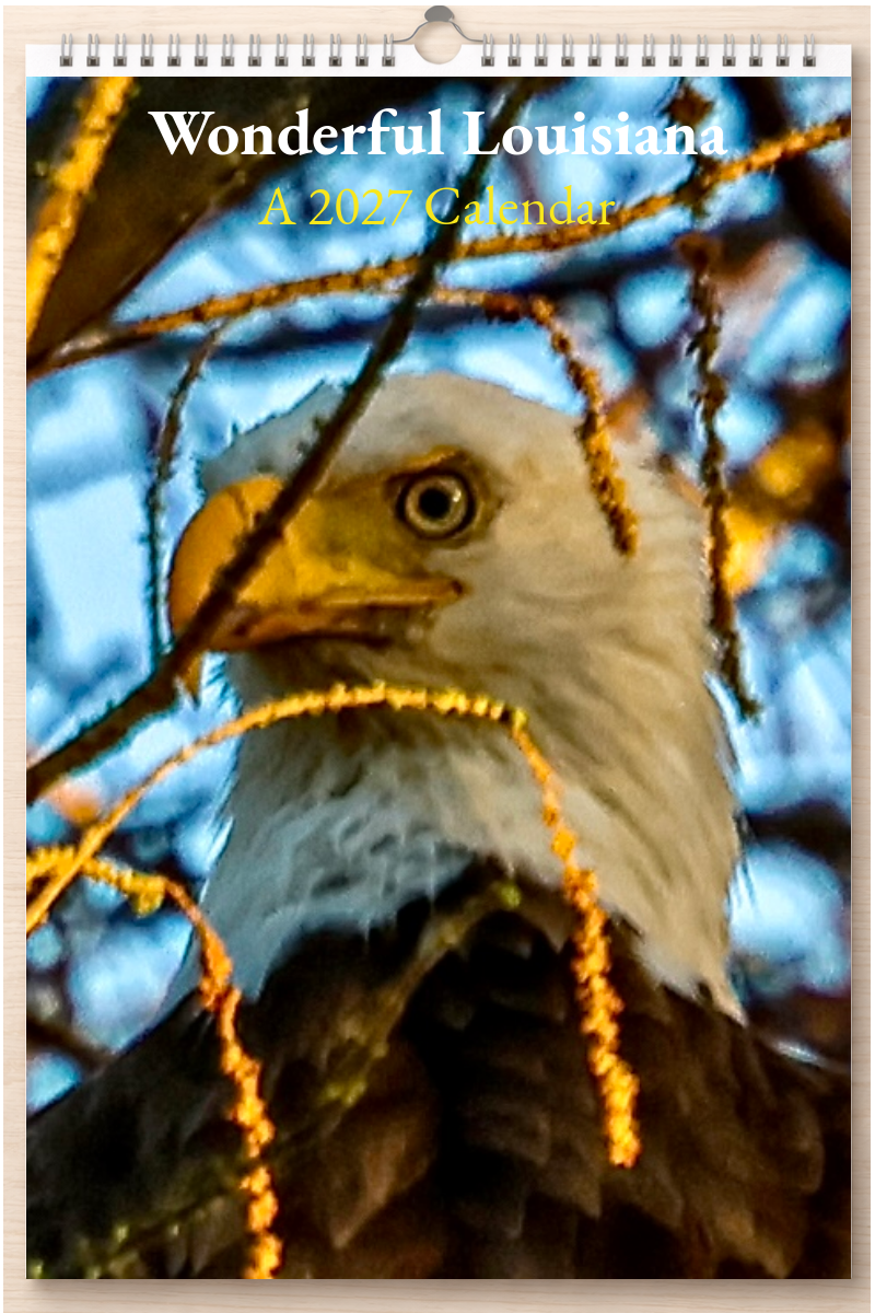 Wonderful Louisiana: A 2027 Calendar