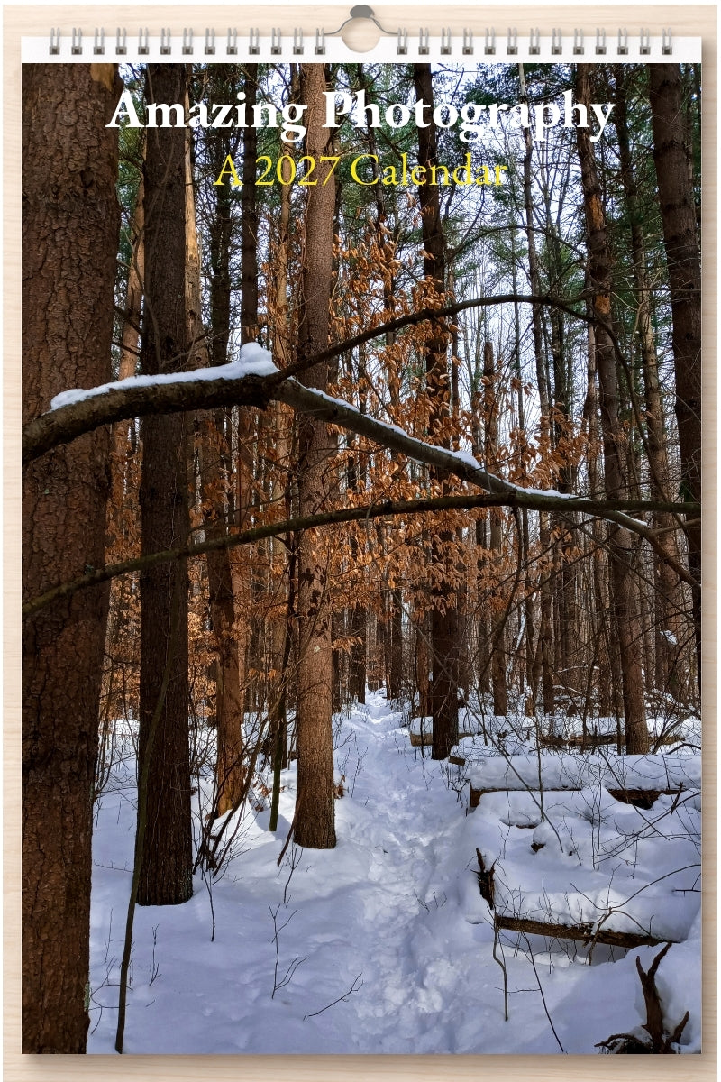 Amazing Photography: A 2027 Calendar