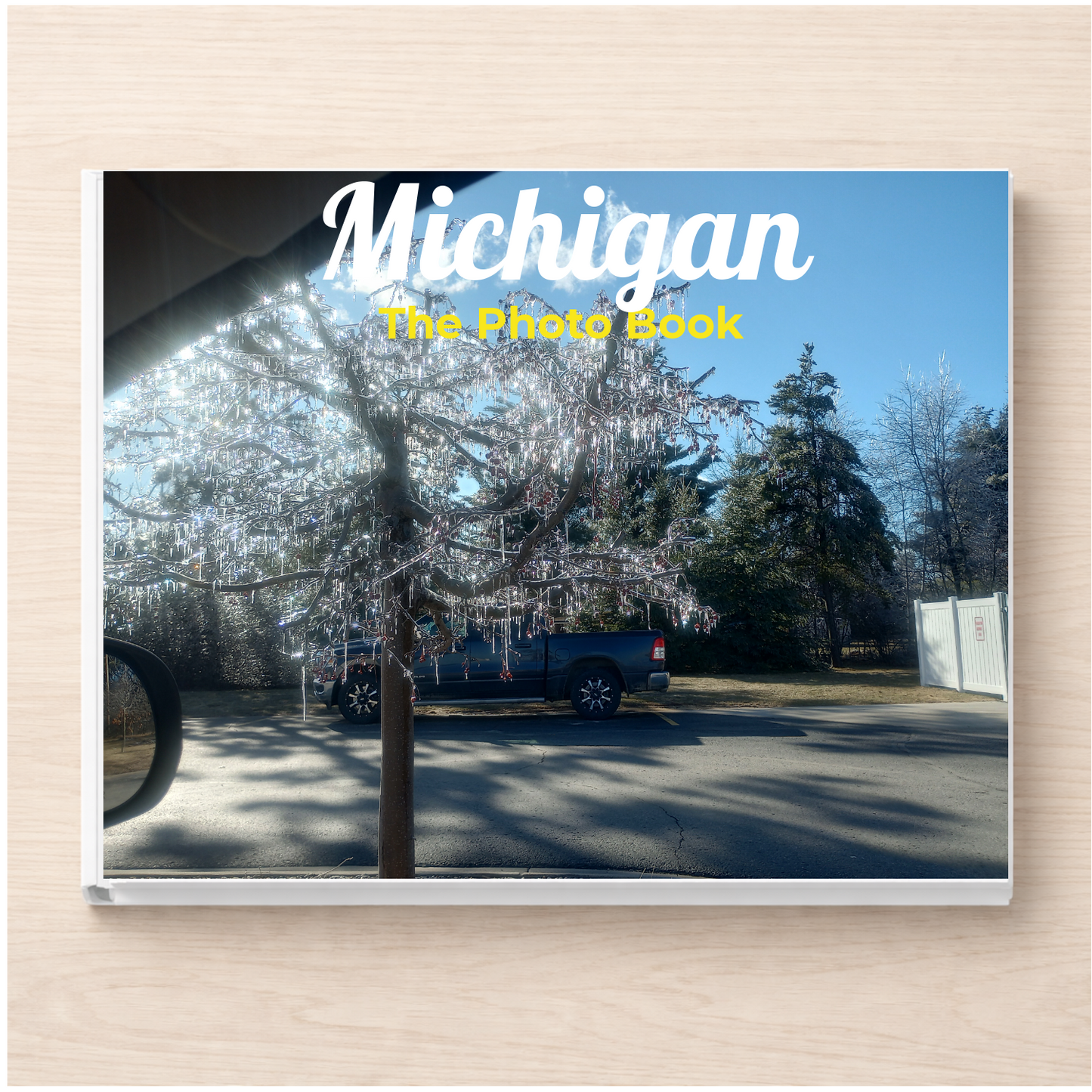 Michigan: The Photo Book