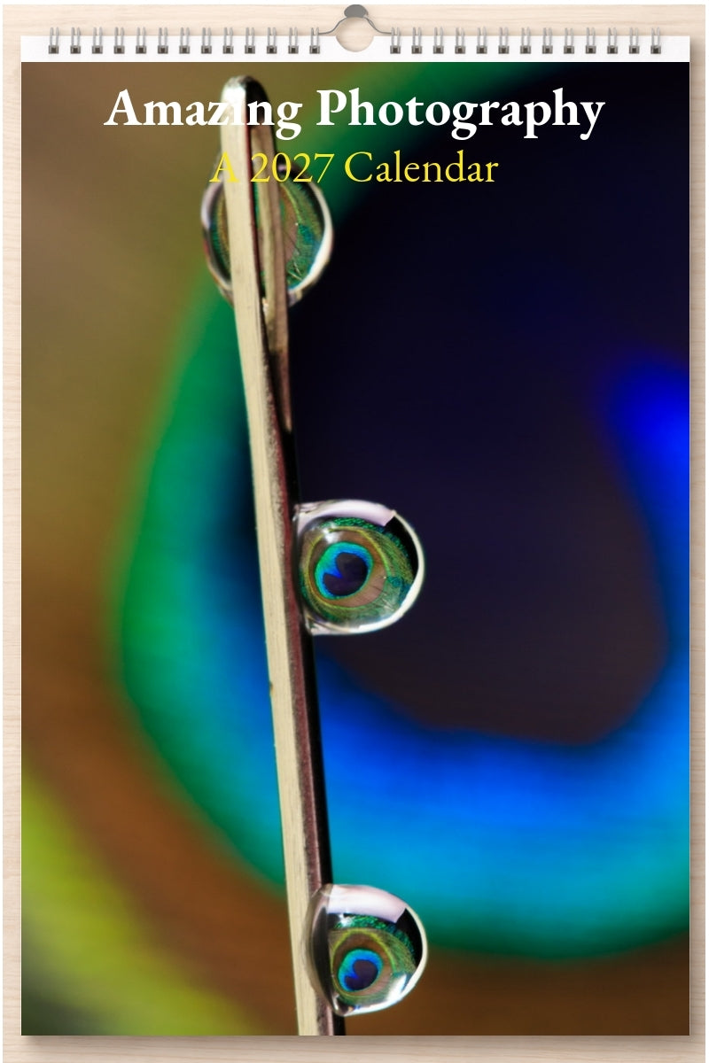 Amazing Photography: A 2027 Calendar