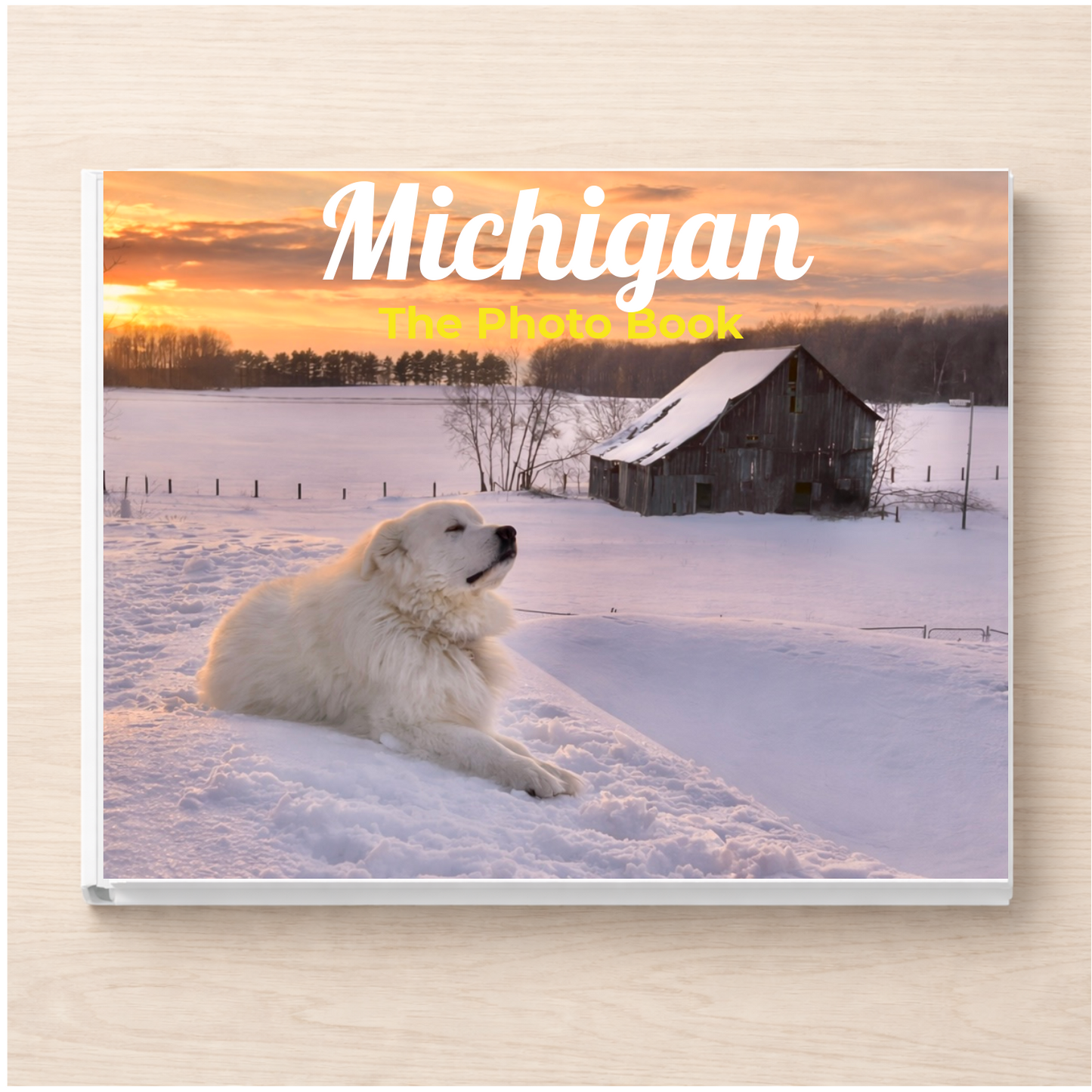 Michigan: The Photo Book