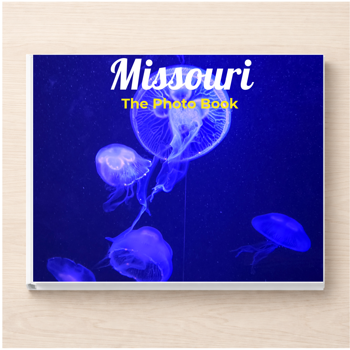 Missouri: The Photo Book