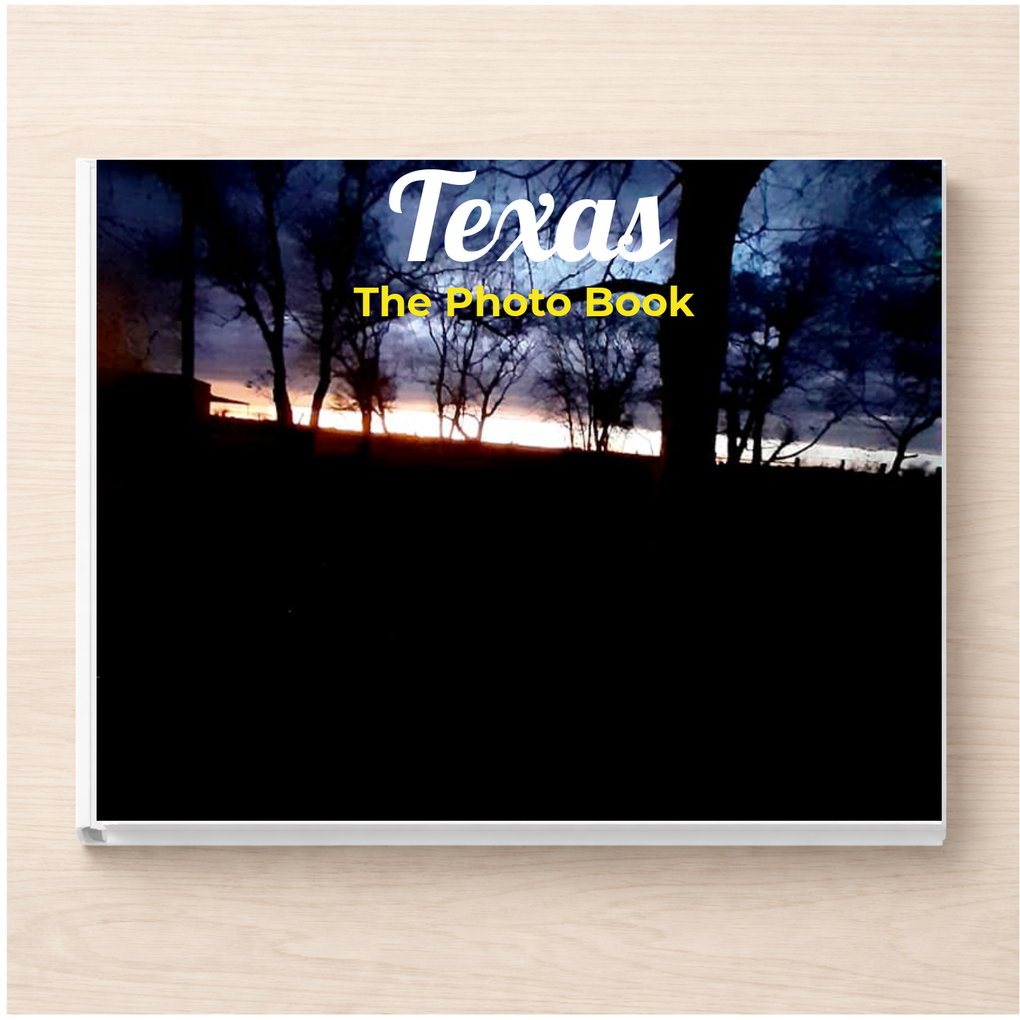 Texas: The Photo Book