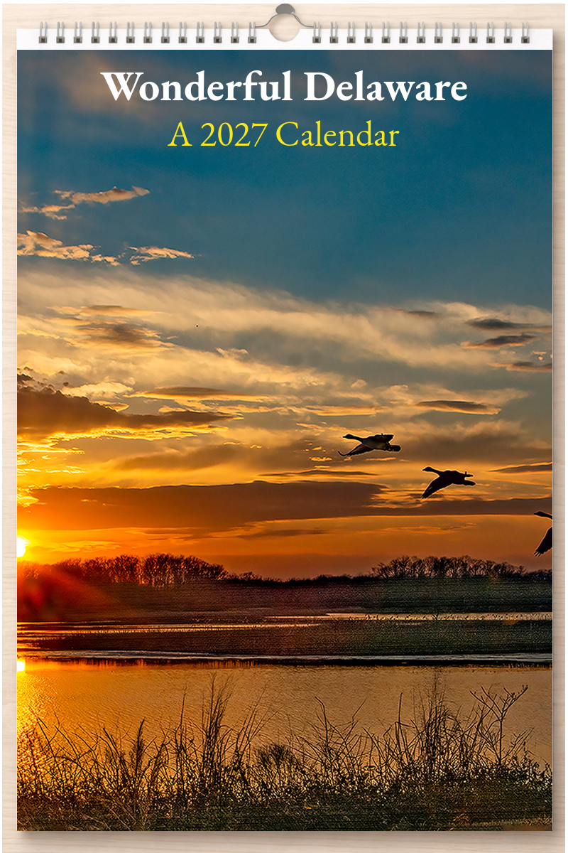 Wonderful Delaware: A 2027 Calendar