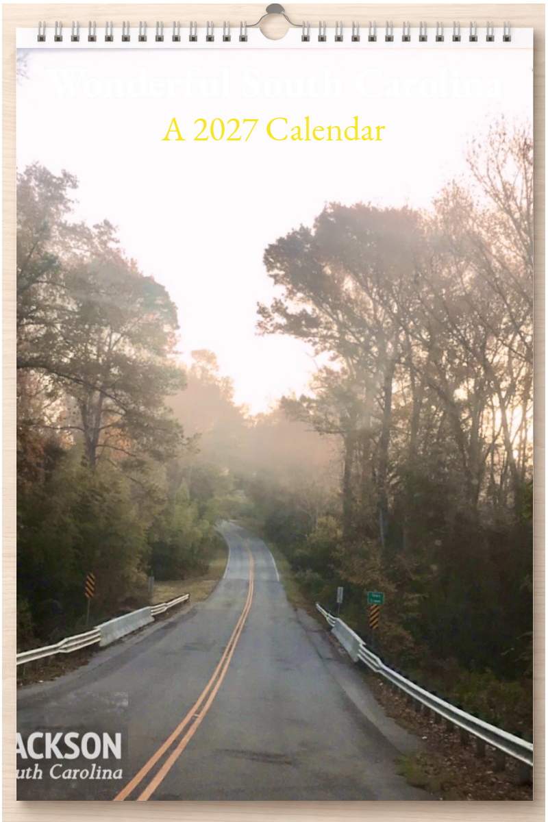 Wonderful South Carolina: A 2027 Calendar