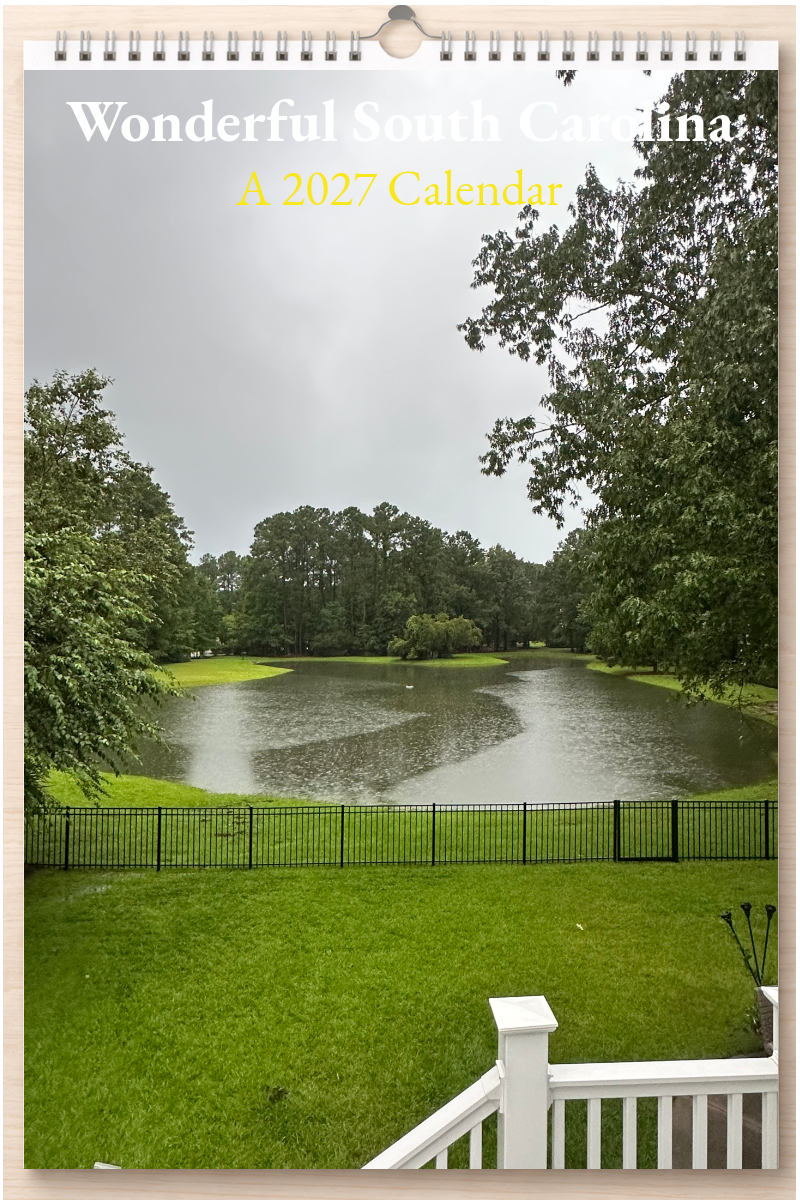 Wonderful South Carolina: A 2027 Calendar