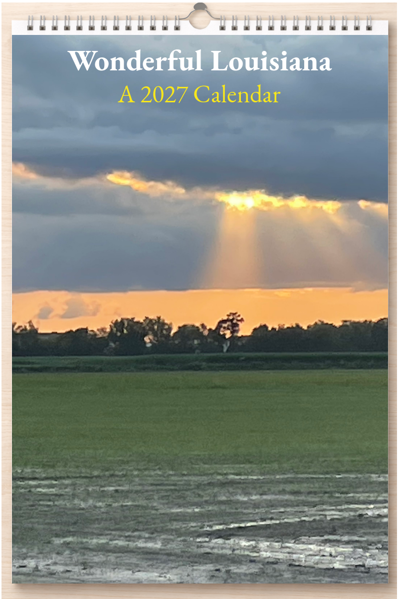 Wonderful Louisiana: A 2027 Calendar