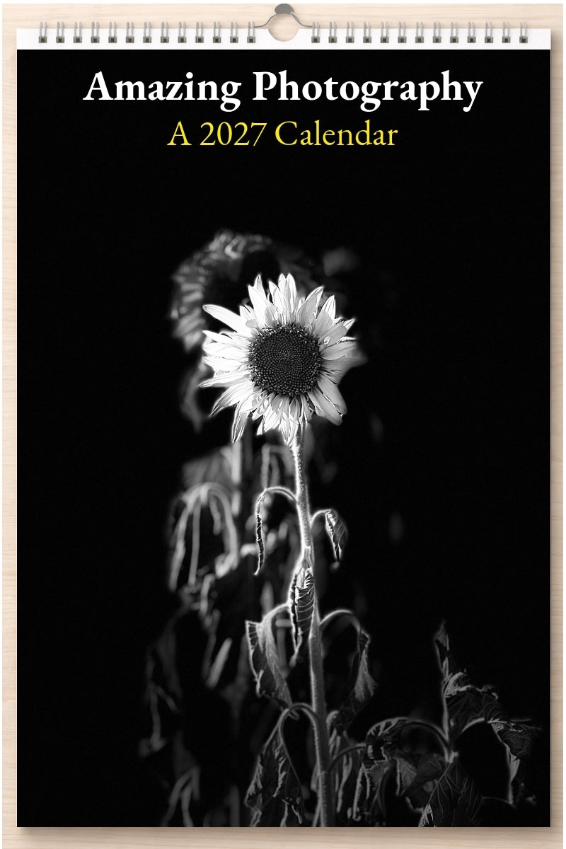 Amazing Photography: A 2027 Calendar