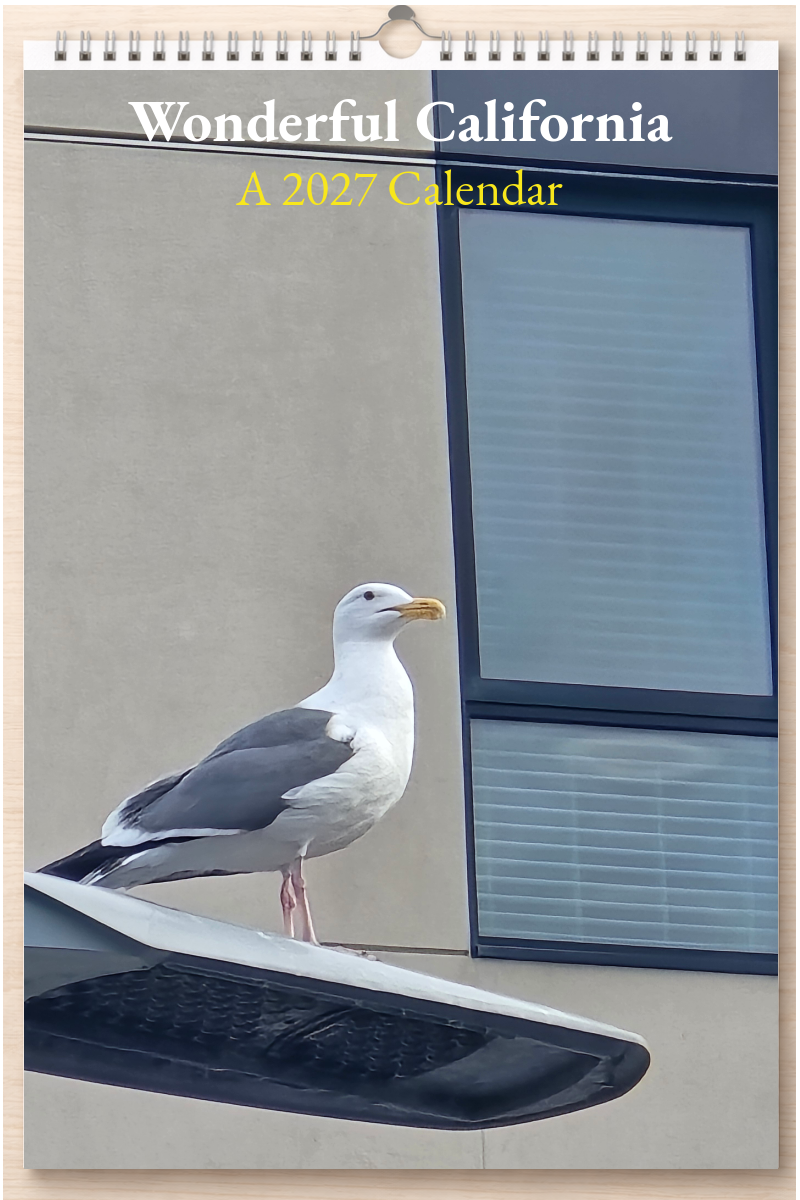 Wonderful California: A 2027 Calendar