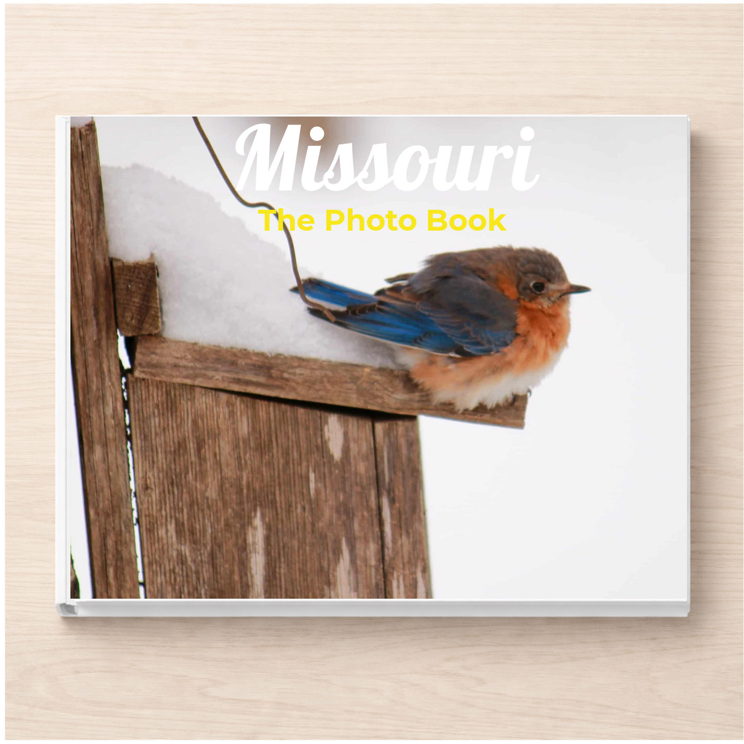 Missouri: The Photo Book