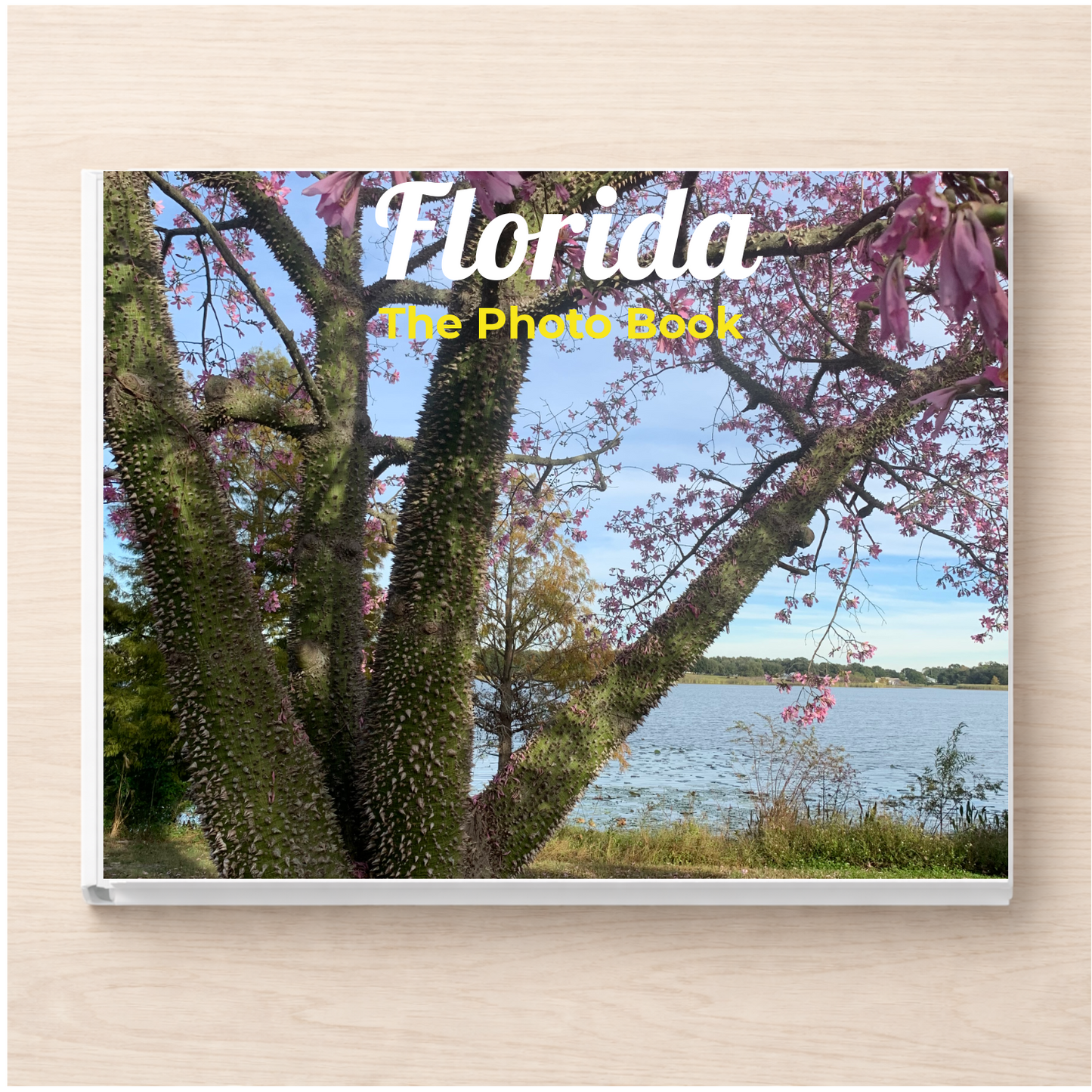 Florida: The Photo Book