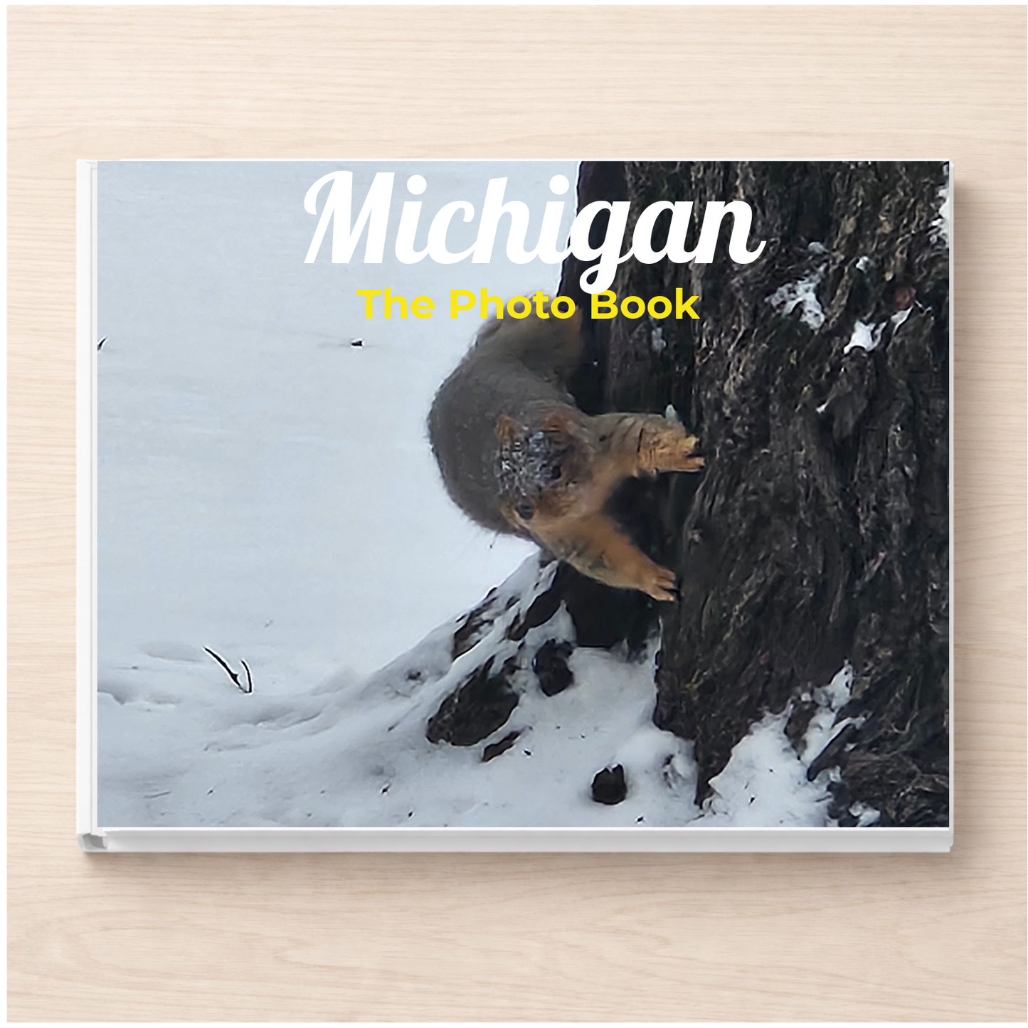 Michigan: The Photo Book