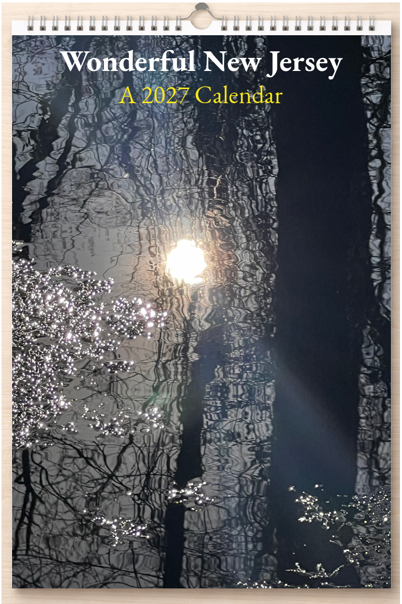 Wonderful New Jersey: A 2027 Calendar