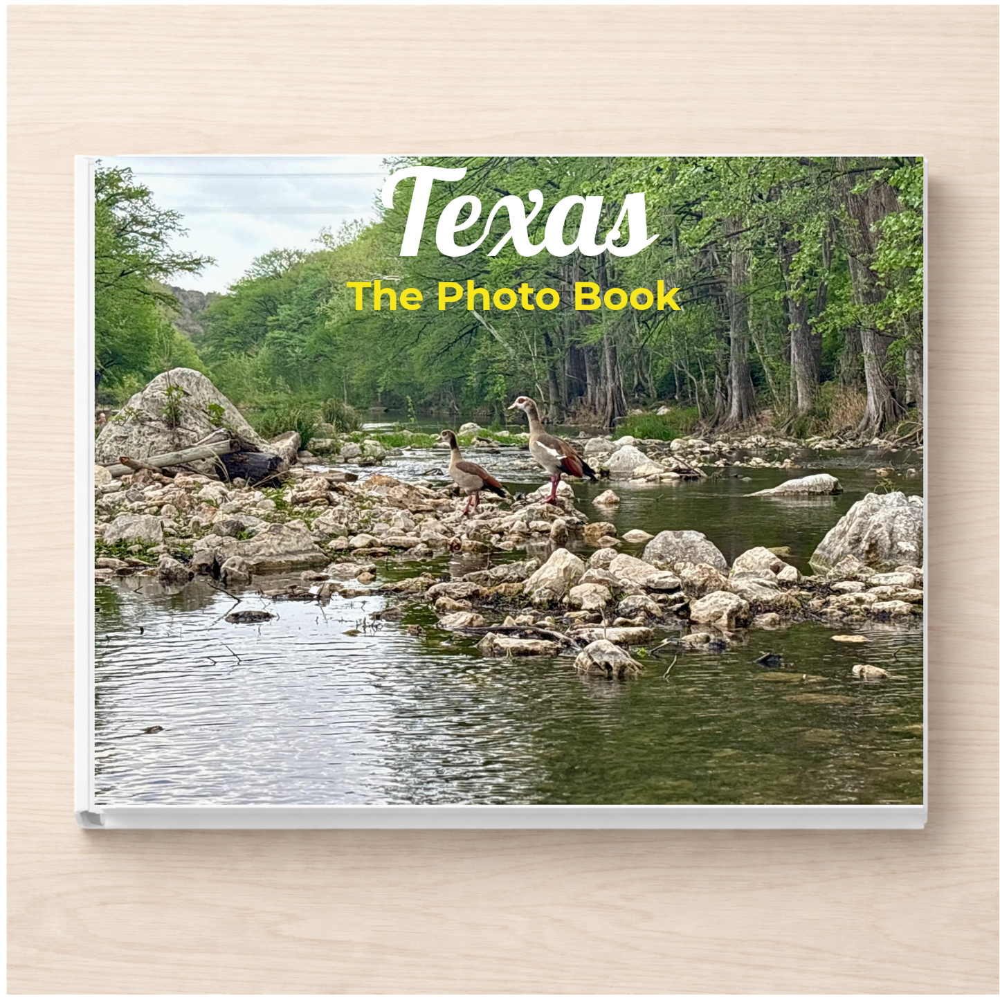Texas: The Photo Book