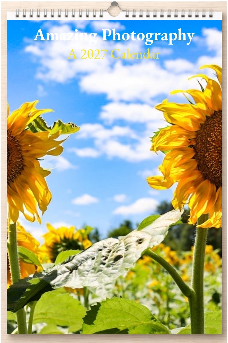 Amazing Photography: A 2027 Calendar