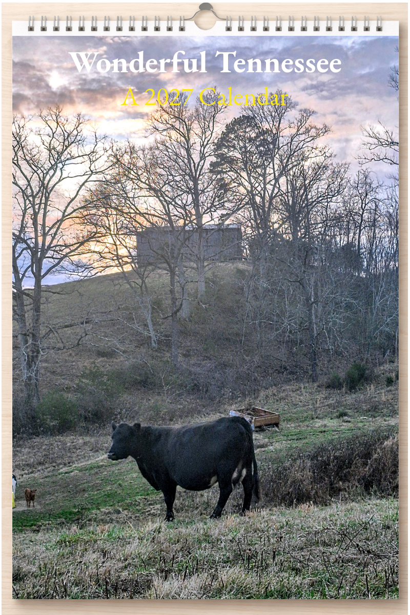 Wonderful Tennessee: A 2027 Calendar