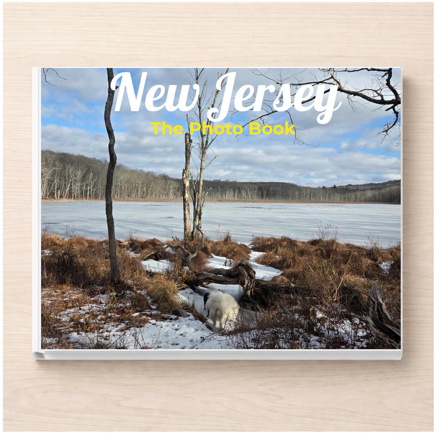 New Jersey: The Photo Book