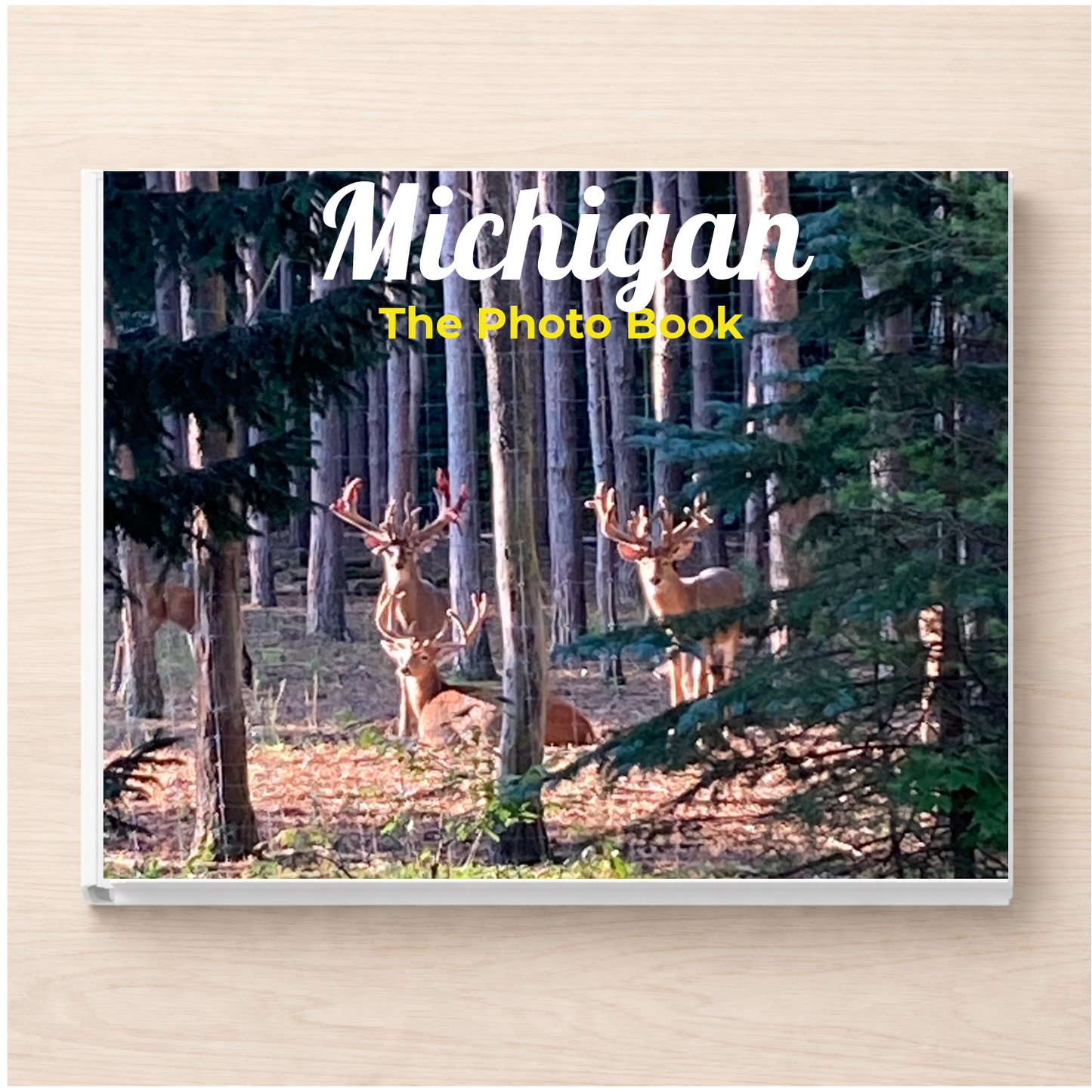 Michigan: The Photo Book