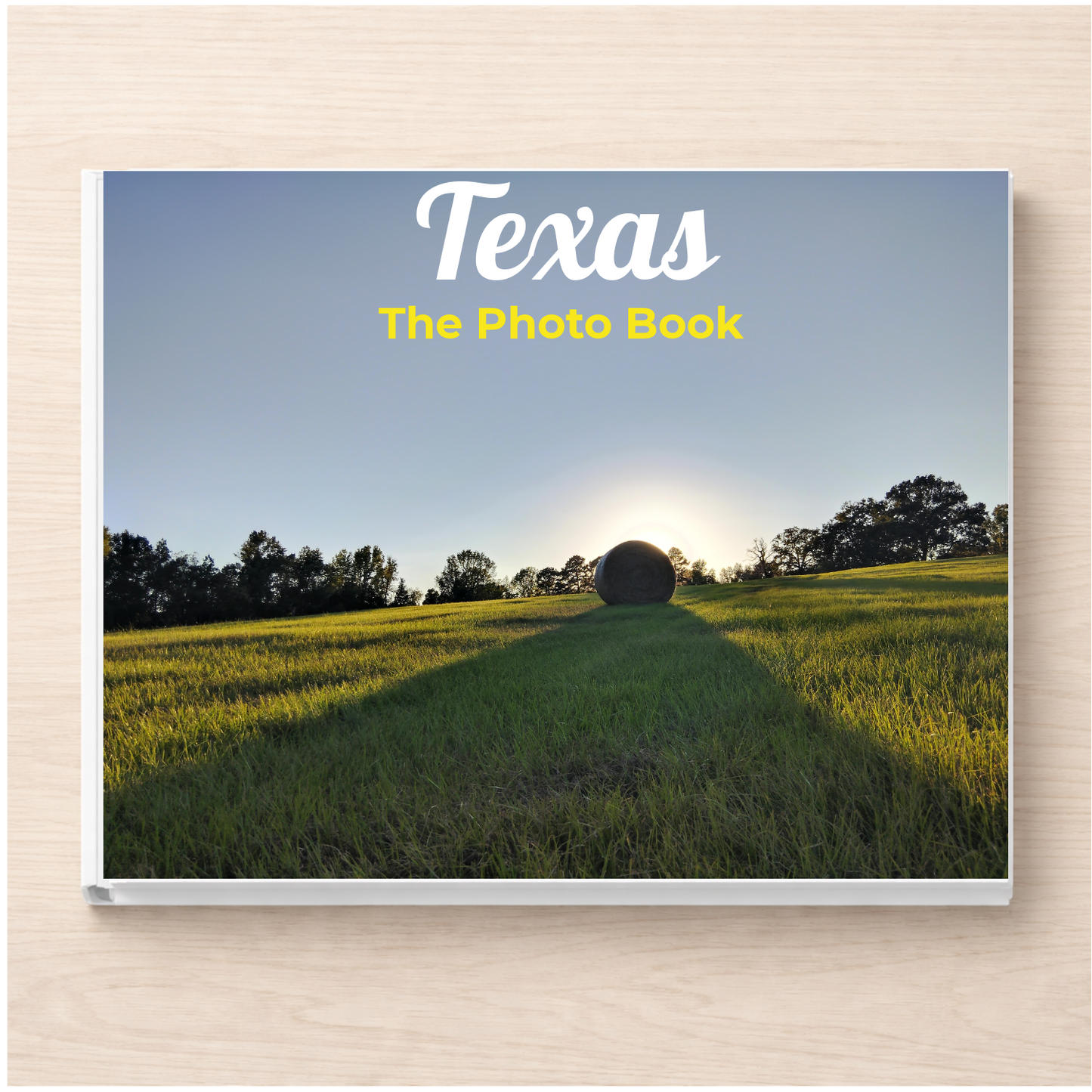 Texas: The Photo Book