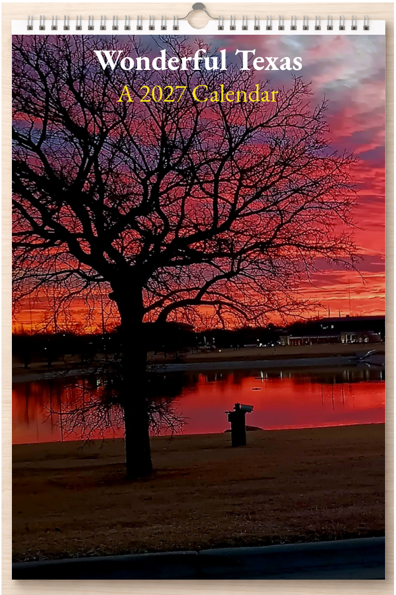 Wonderful Texas: A 2027 Calendar