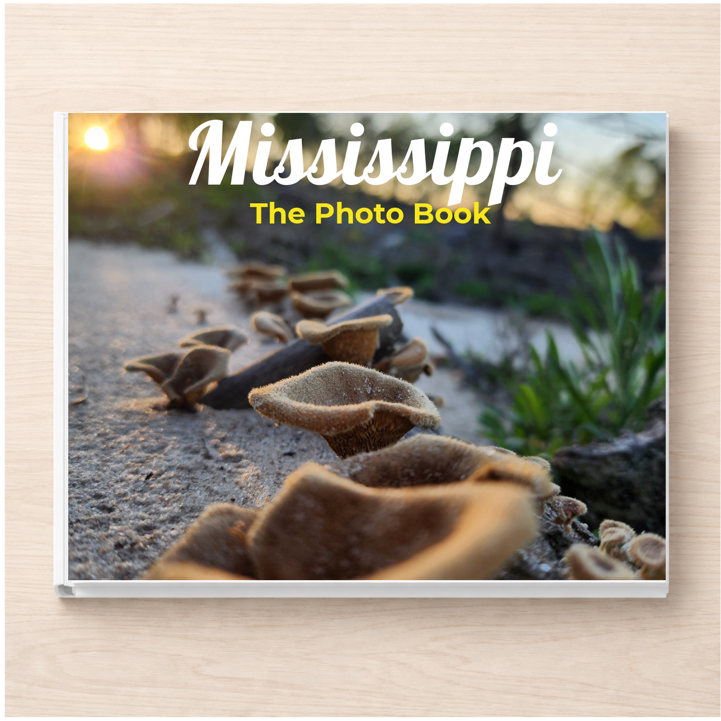 Mississippi: The Photo Book