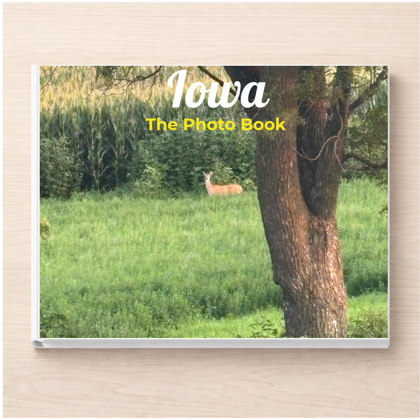 Iowa: The Photo Book