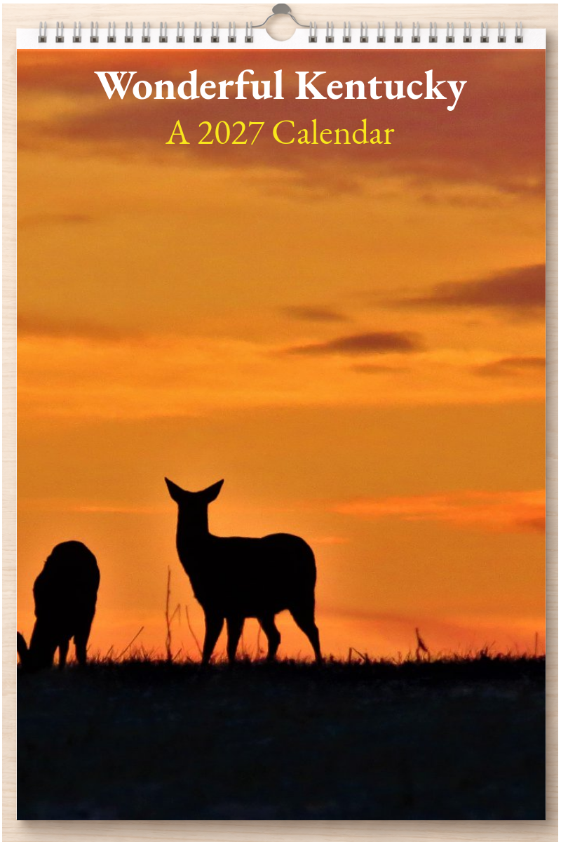 Wonderful Kentucky: A 2027 Calendar