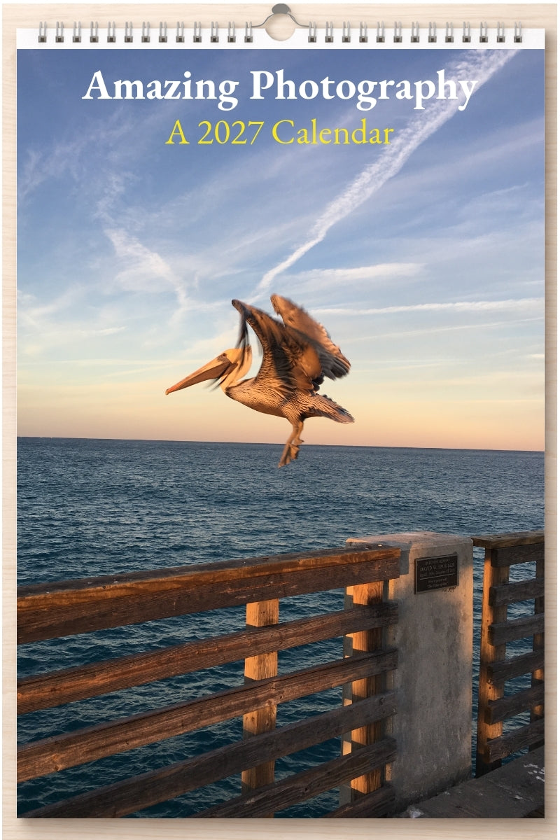 Amazing Photography: A 2027 Calendar