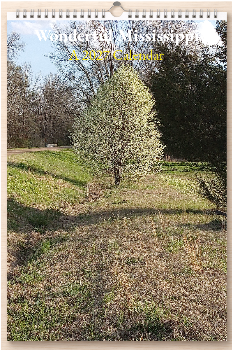 Wonderful Mississippi: A 2027 Calendar