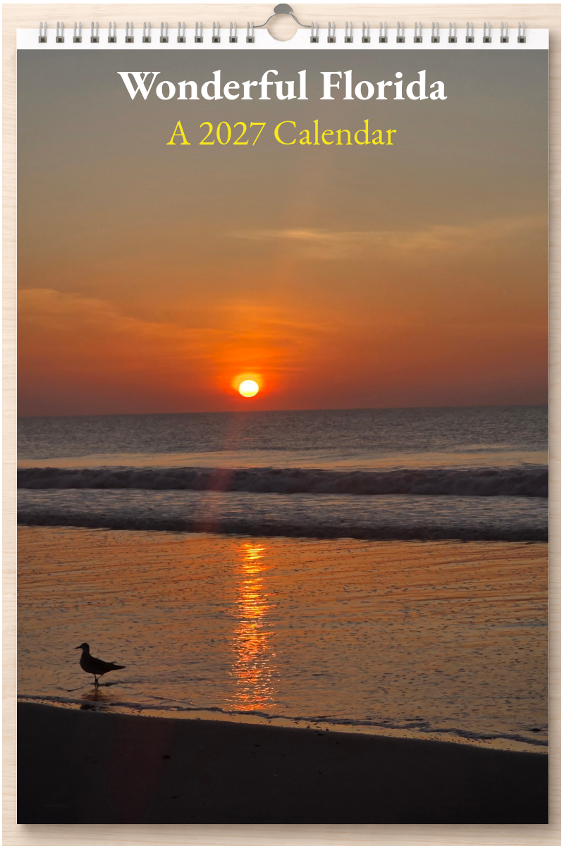 Wonderful Florida: A 2027 Calendar