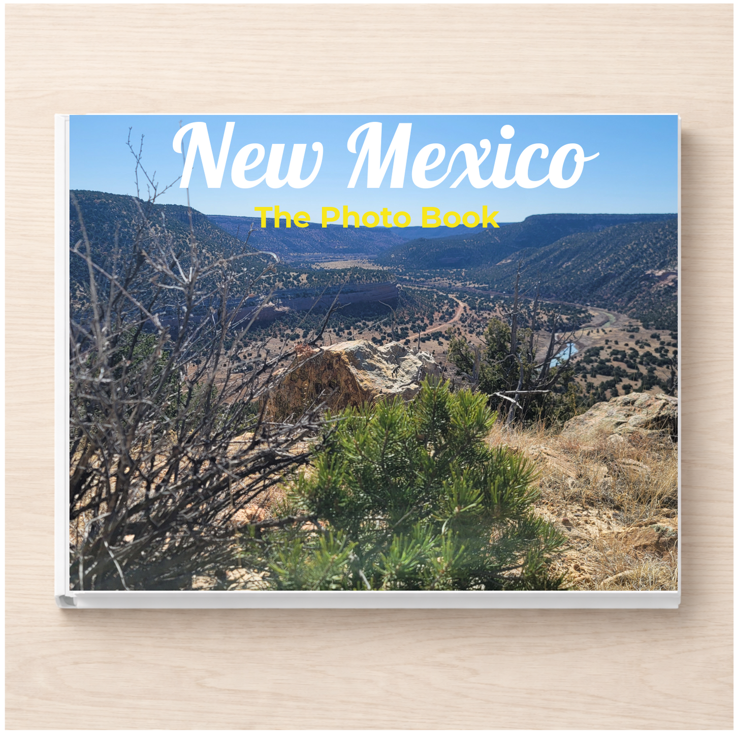 New Mexico: The Photo Book