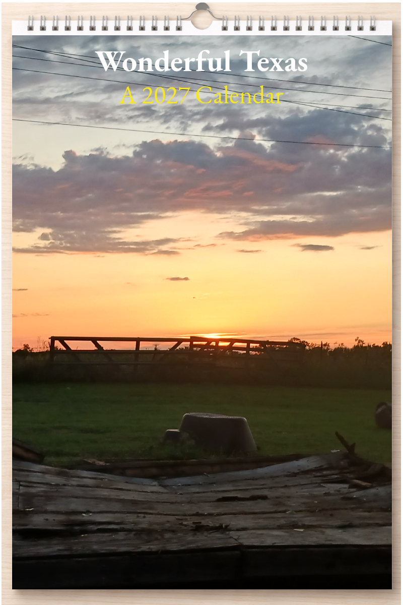 Wonderful Texas: A 2027 Calendar