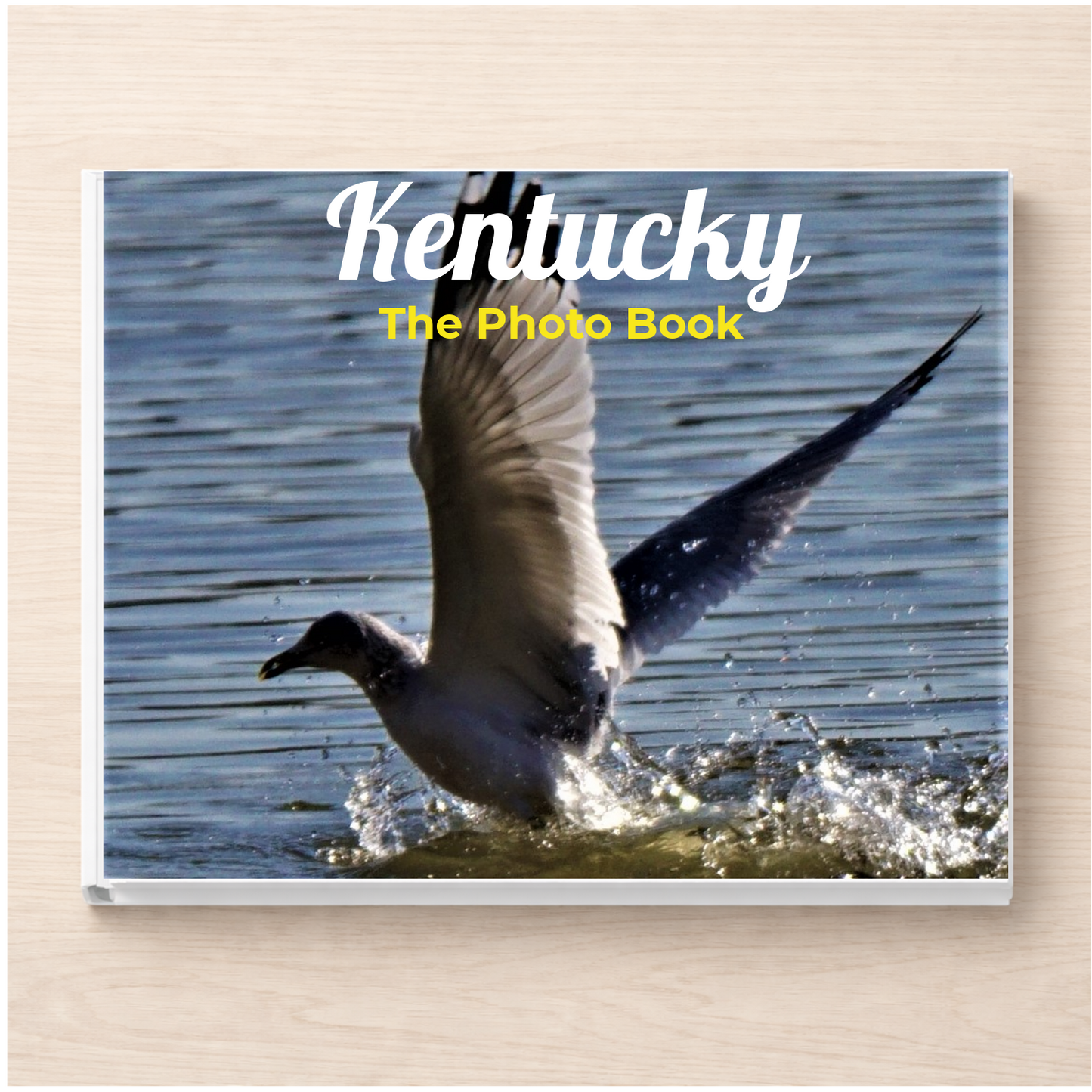 Kentucky: The Photo Book