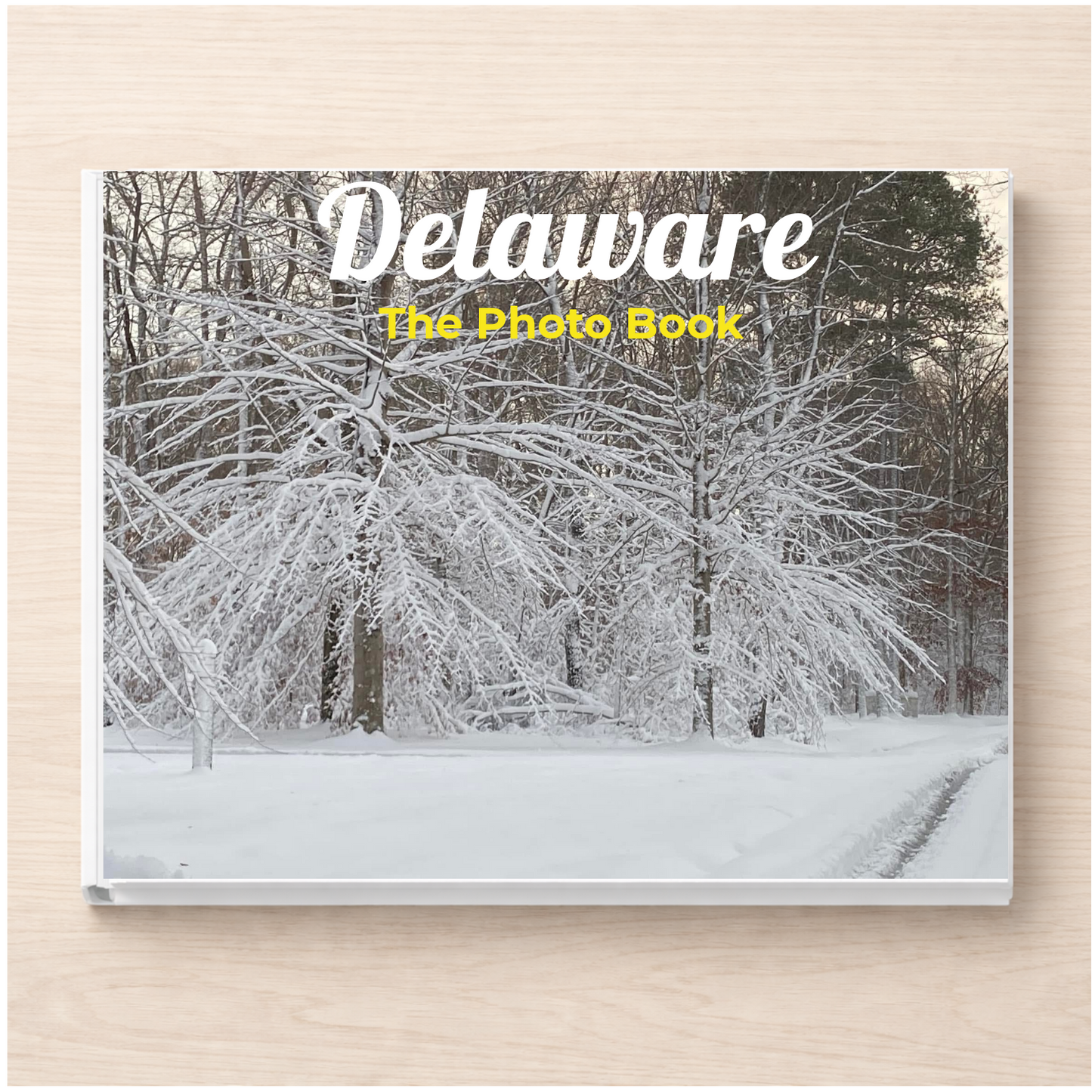 Delaware: The Photo Book