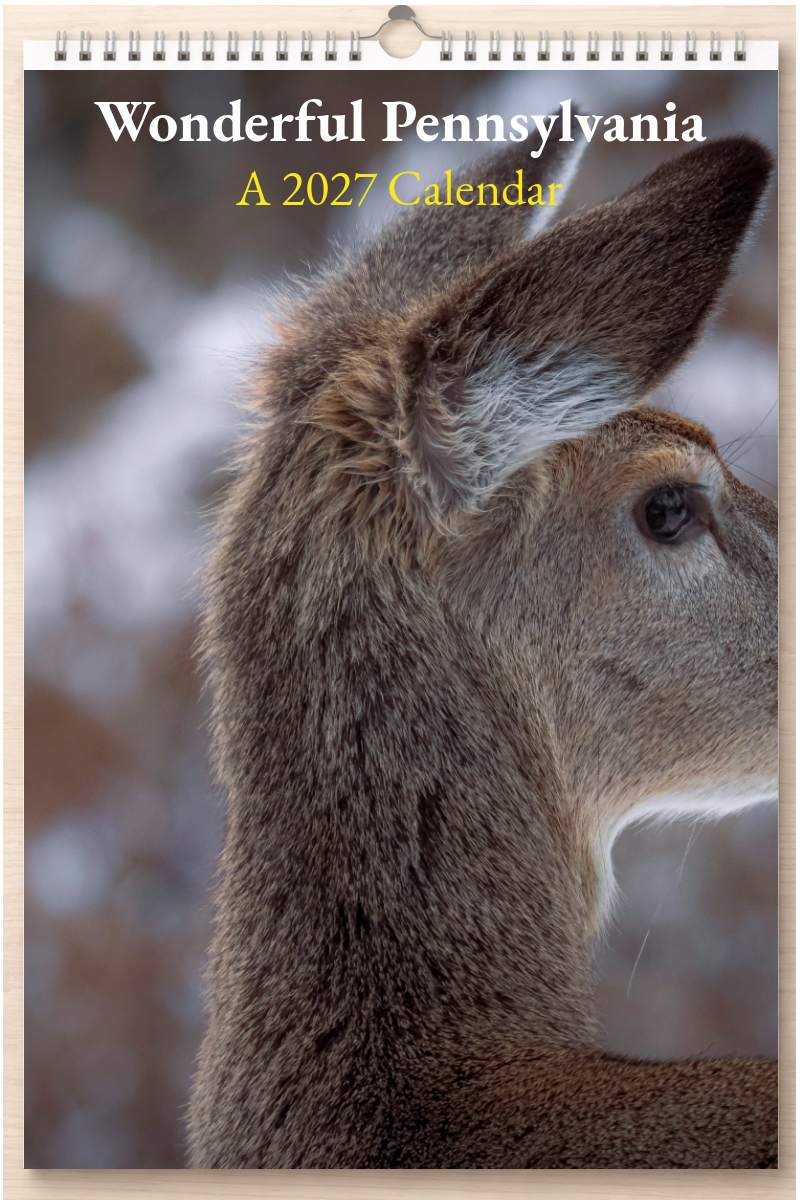 Wonderful Pennsylvania: A 2027 Calendar