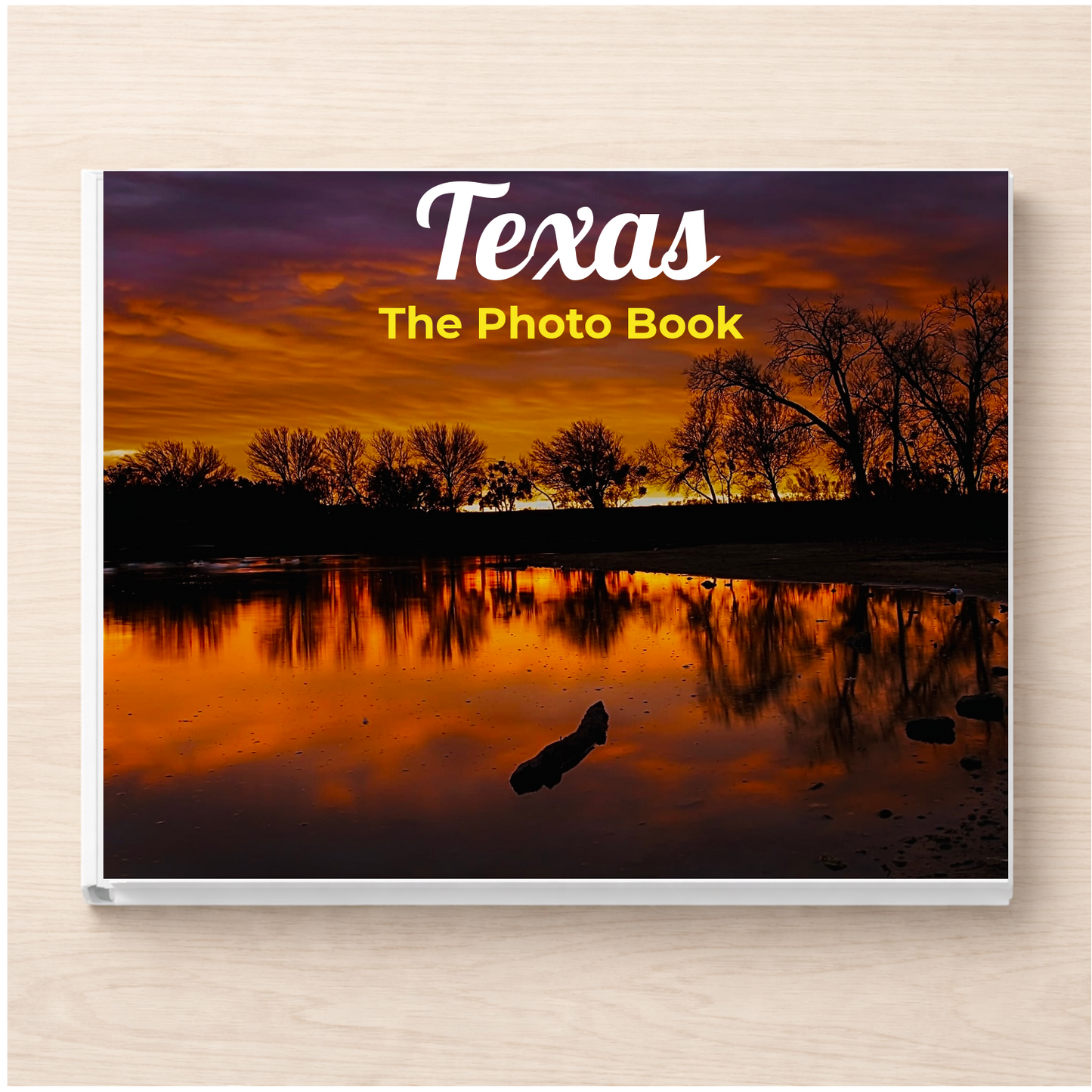 Texas: The Photo Book