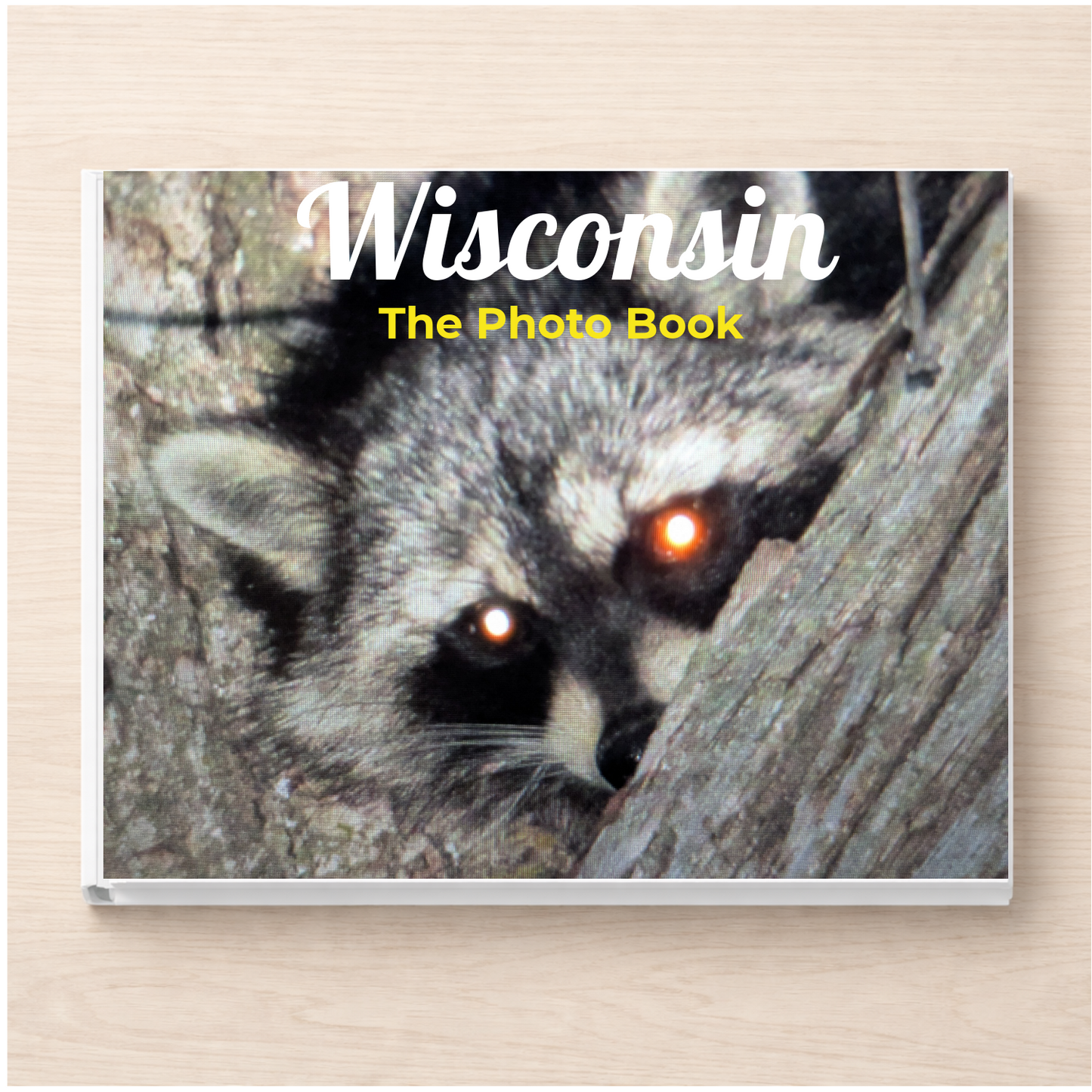 Wisconsin: The Photo Book