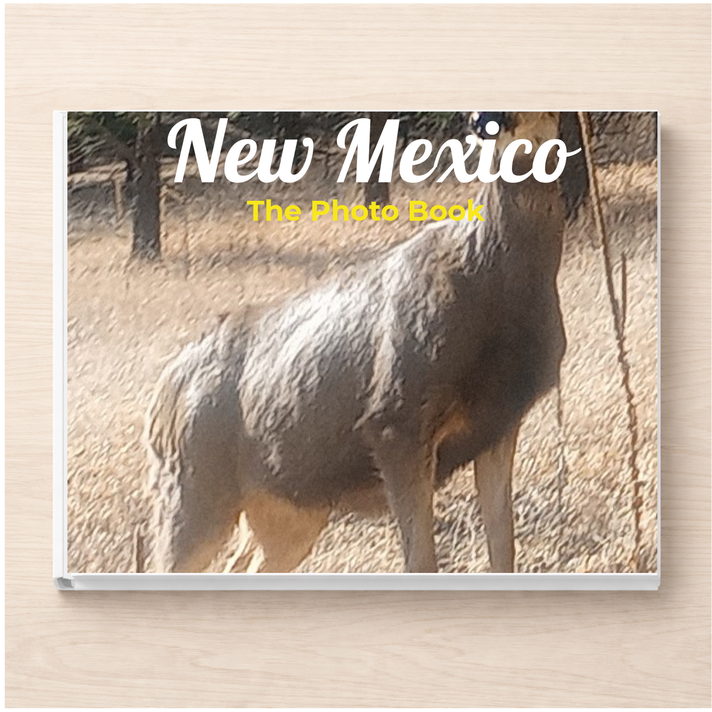 New Mexico: The Photo Book