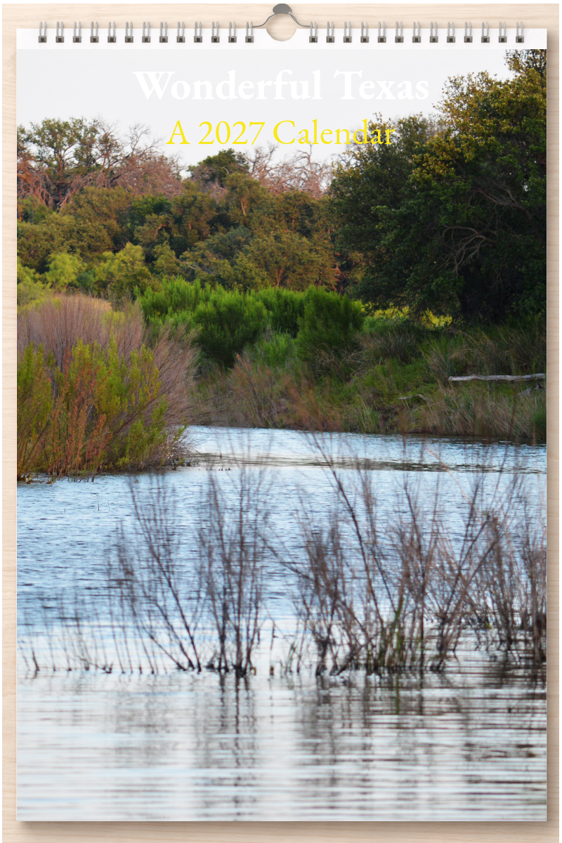 Wonderful Texas: A 2027 Calendar