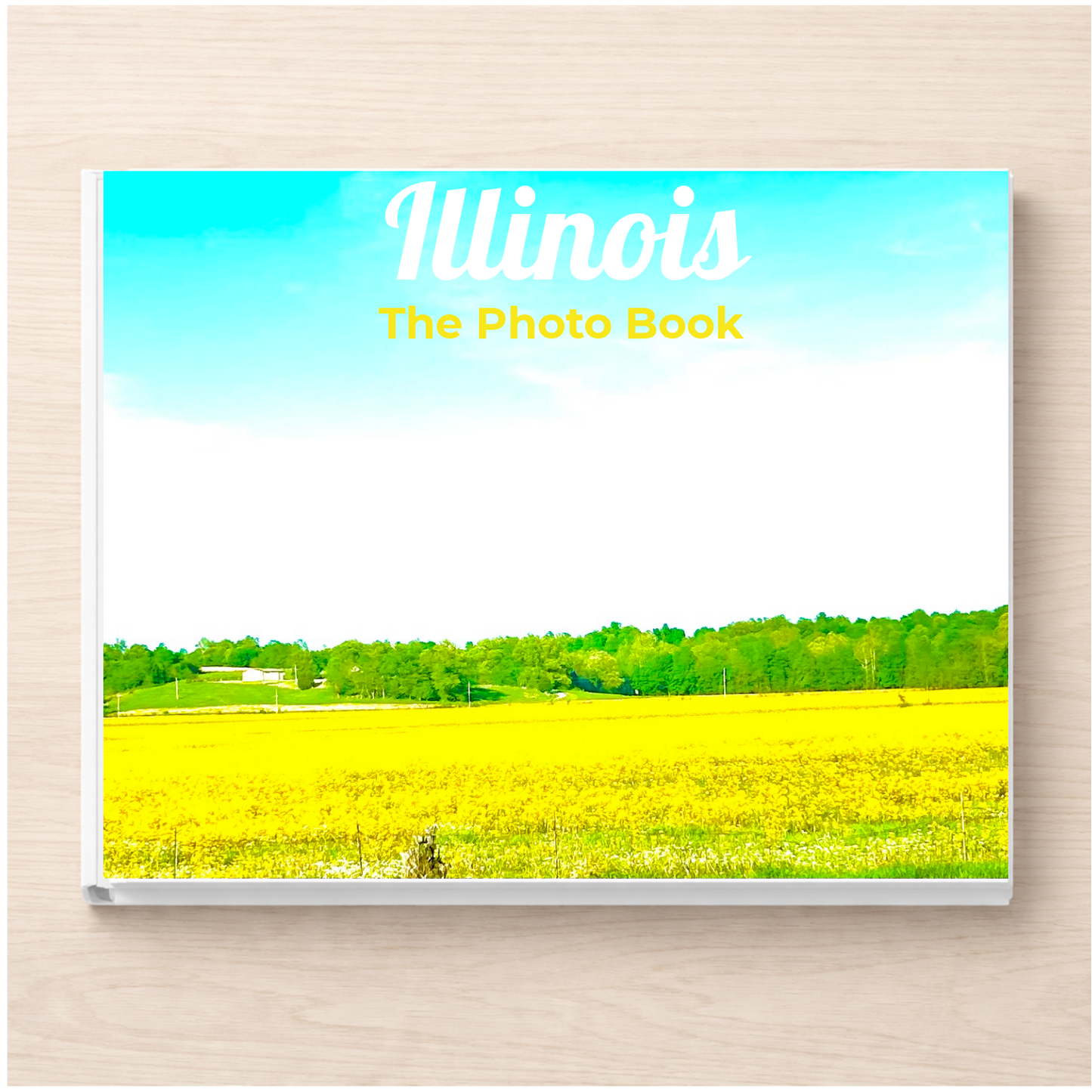 Illinois: The Photo Book
