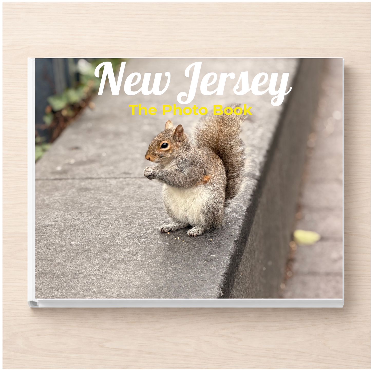 New Jersey: The Photo Book